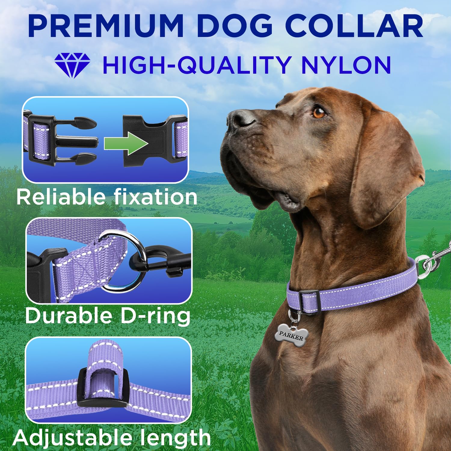 Teceum Reflective Dog Collar - Lavender - Xl - Basic Nylon Pet Collar - Quick Release Buckle - Fits Small, Medium And Large Dogs