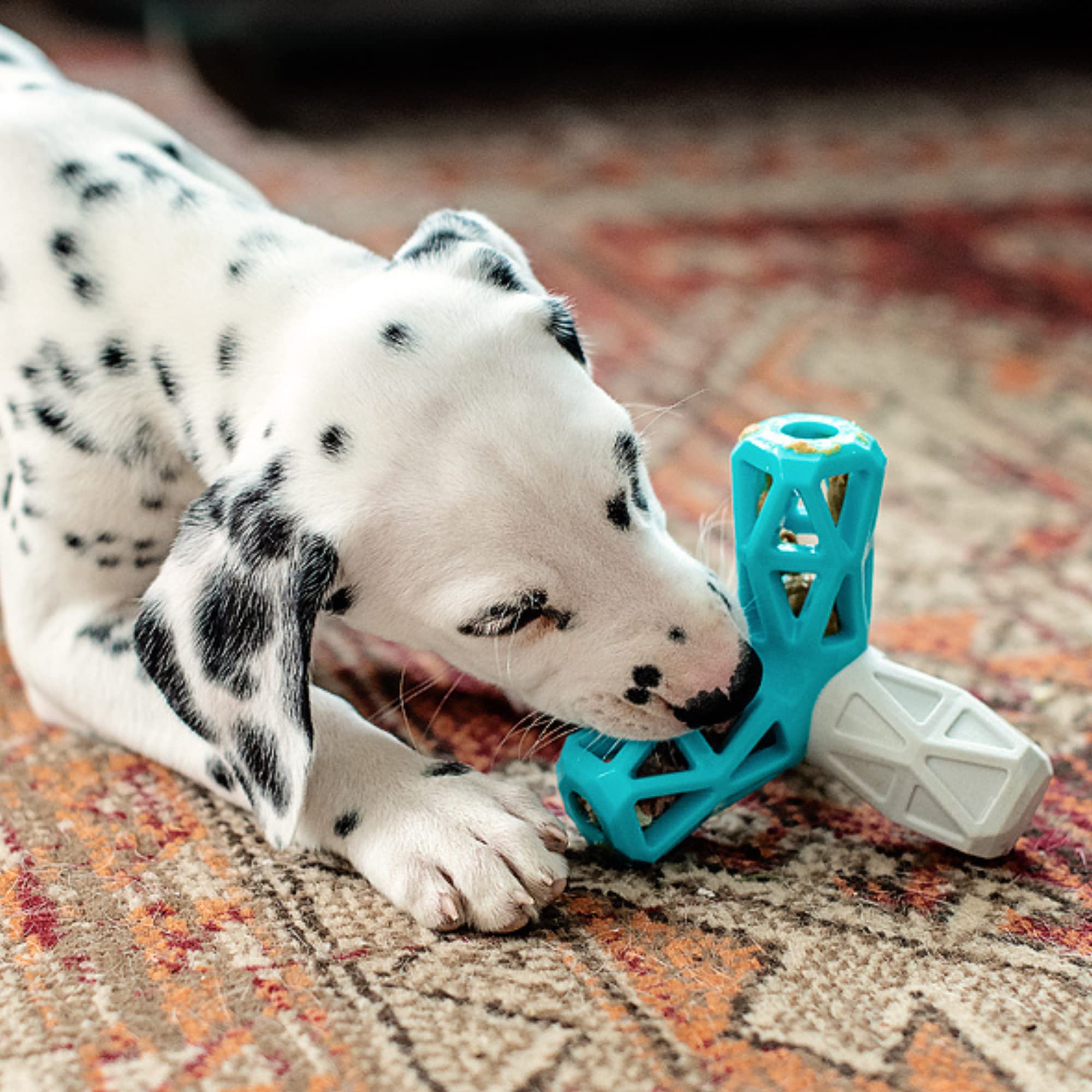 Messy Mutts Totally Pooched Squeak n' Stuff Pyramid | 5    Durable TPR Dog Toy with Squeaker | Made for Tough Chewers | Interact