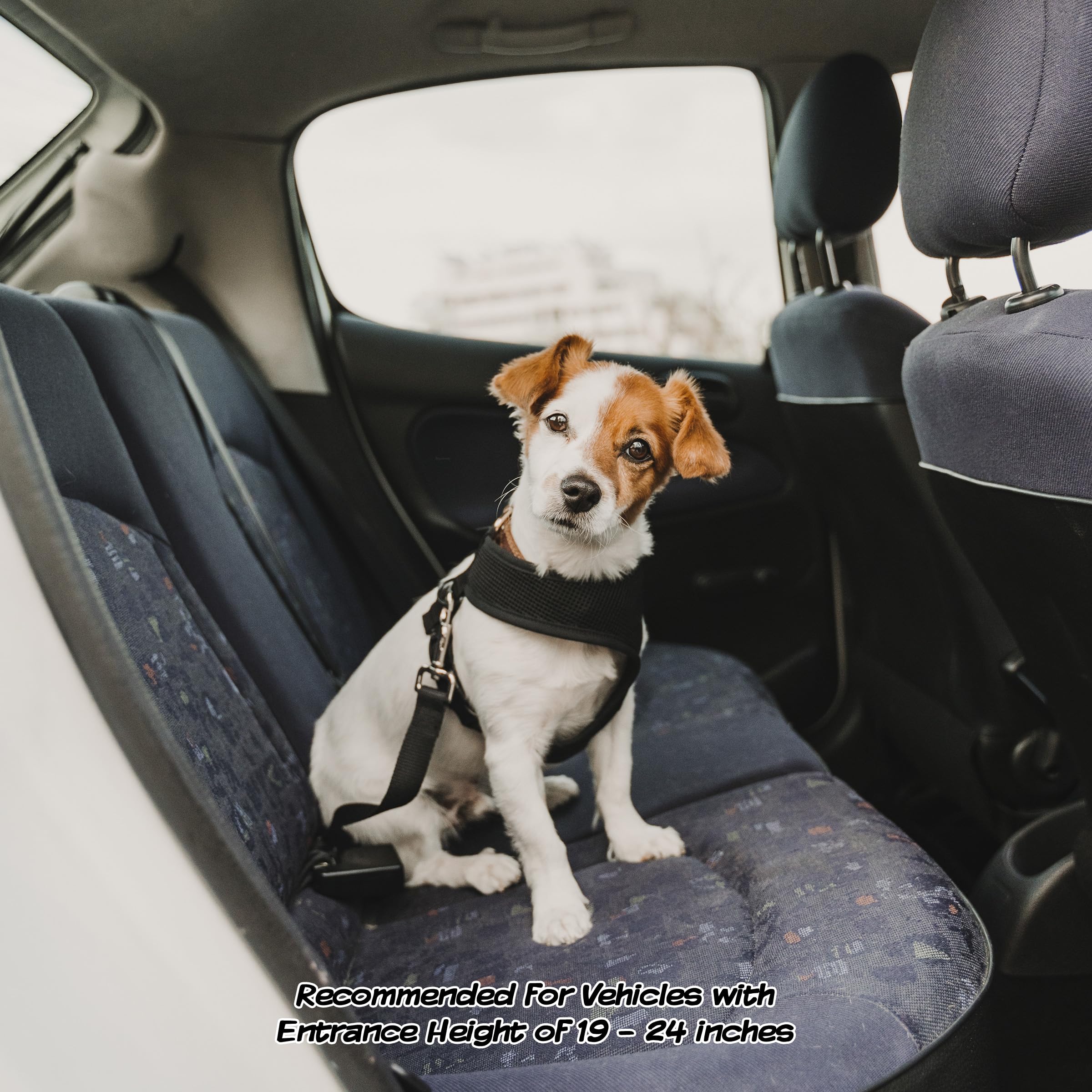 Pet Stairs - Home And Vehicle Foldable Nonslip Dog Steps With 4-Step Design - For Puppies, Kittens, And Other Small Pets By Petm