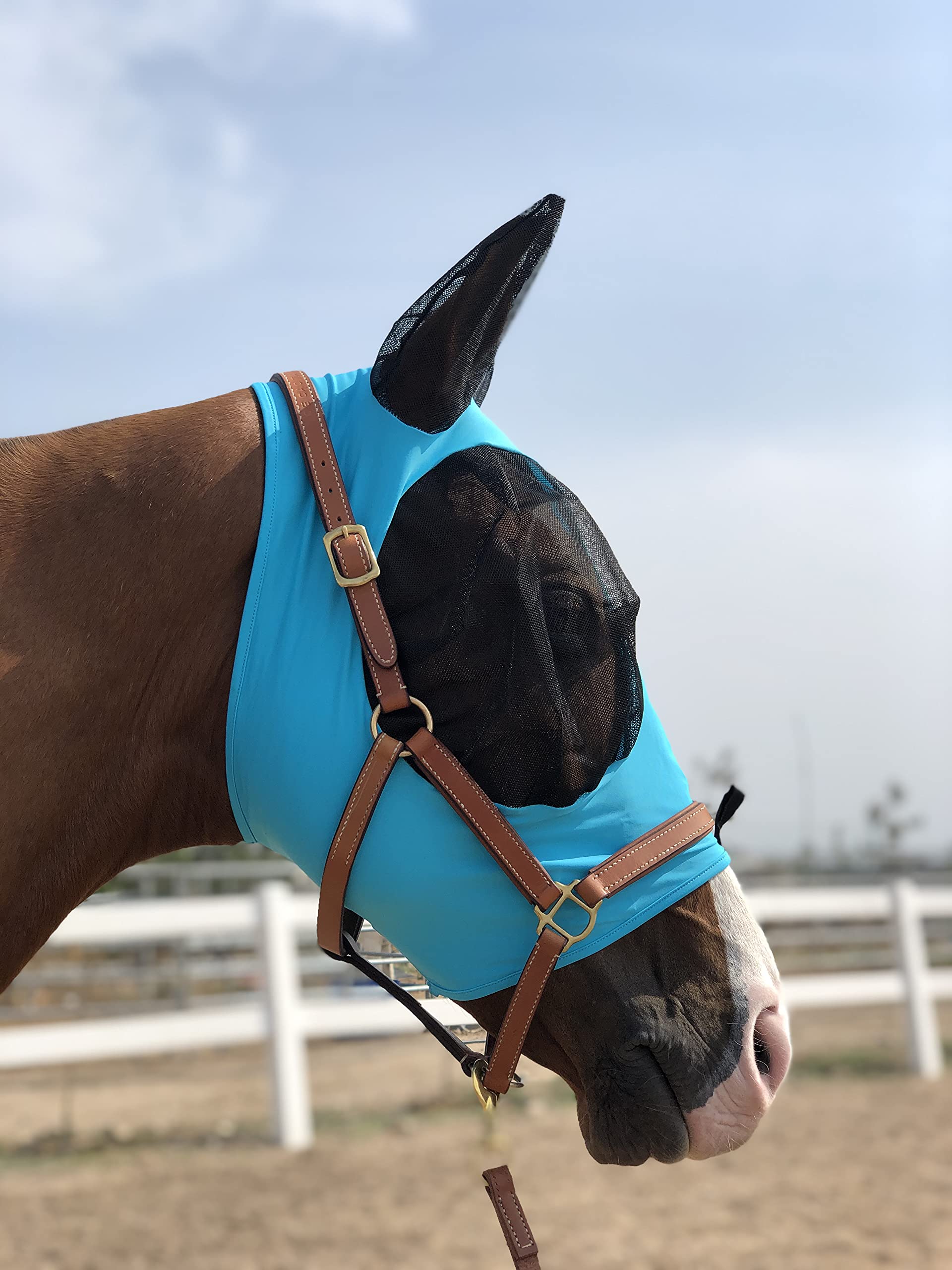 Horse Fly Mask Super Comfort Horse Fly Mask Elasticity Fly Mask with Ears We Only Make Products That Horses Like (Pacific Blue,
