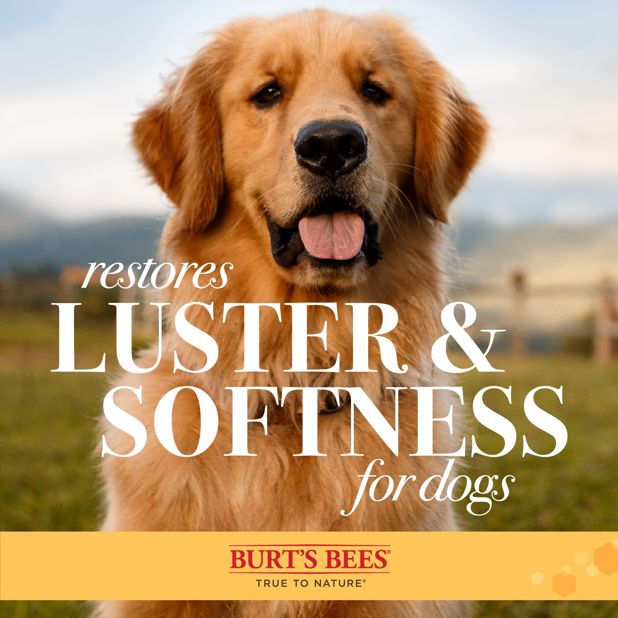 Burt'S Bees For Pets Double Sided Pin Brush & Hemp Bristle Dog Brush | Best All-Purpose Dog Brush To Reduce Shedding | Easy To U