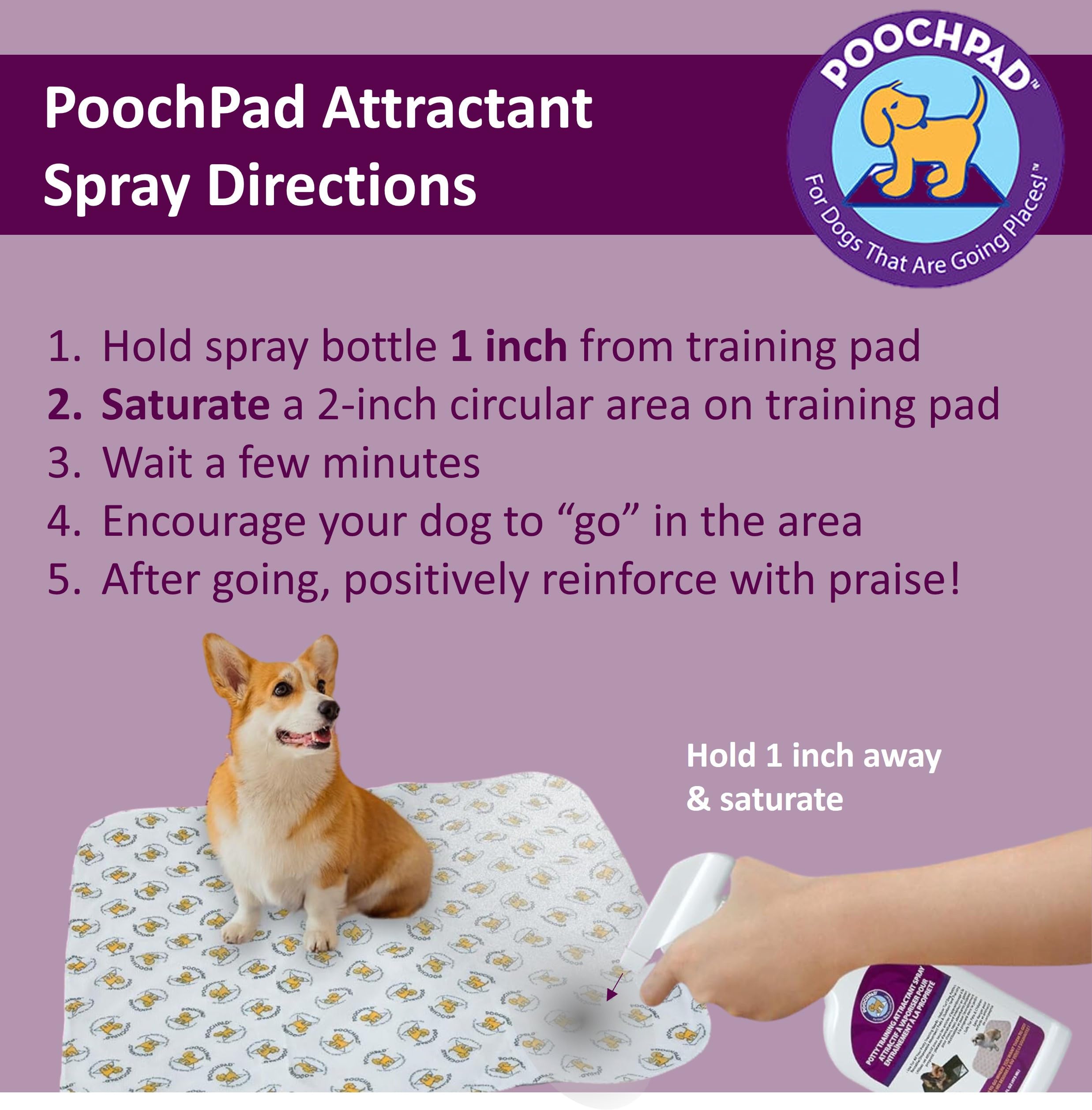 PoochPad Potty Training Attractant Spray for Dogs & Puppies 16 oz, Made in USA, Indoor Potty Pad & Outdoor Use, Dog Training & B