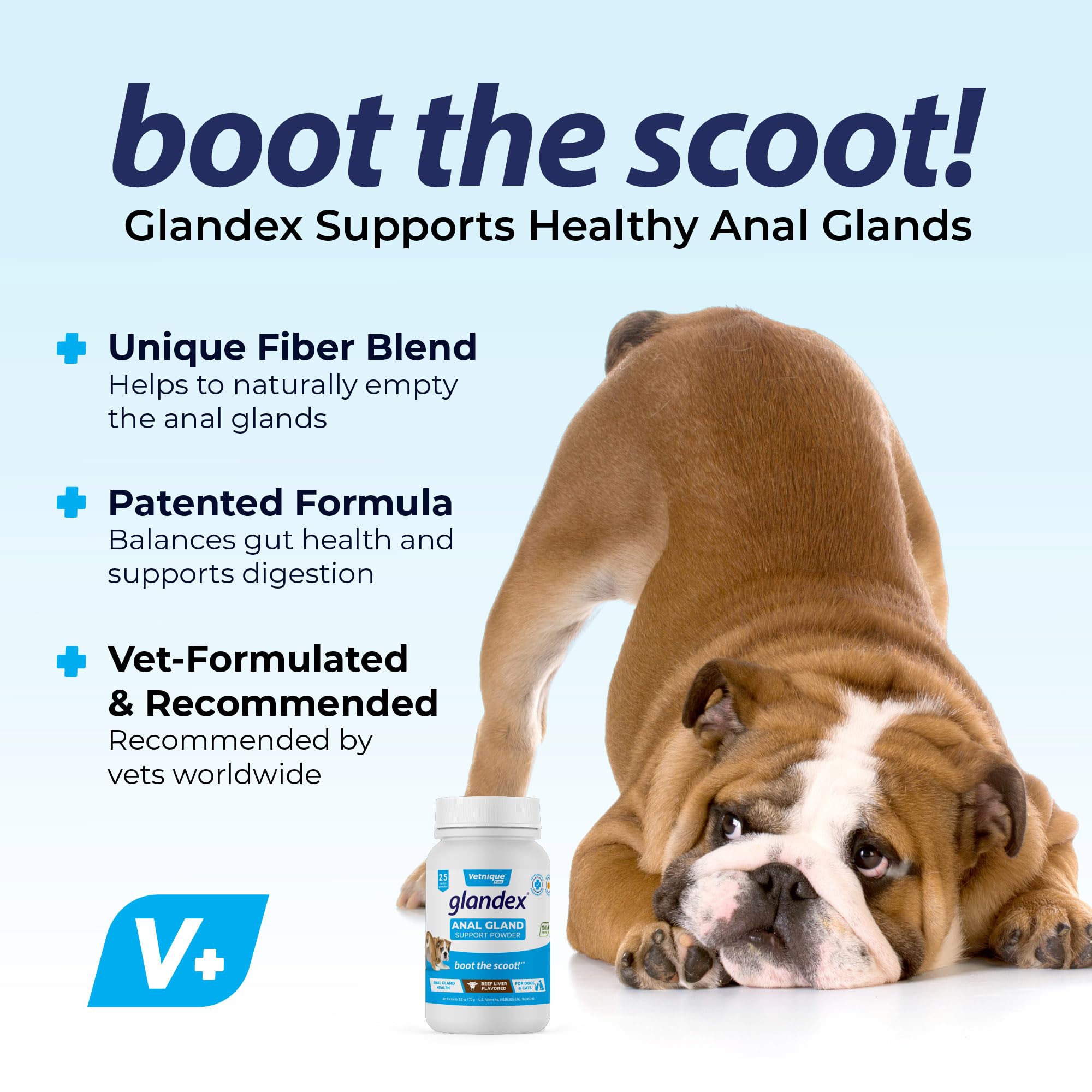 Vetnique Glandex Dog Fiber Supplement Powder for Anal Glands with Pumpkin, Digestive Enzymes & Probiotics - Vet Recommended (Reg
