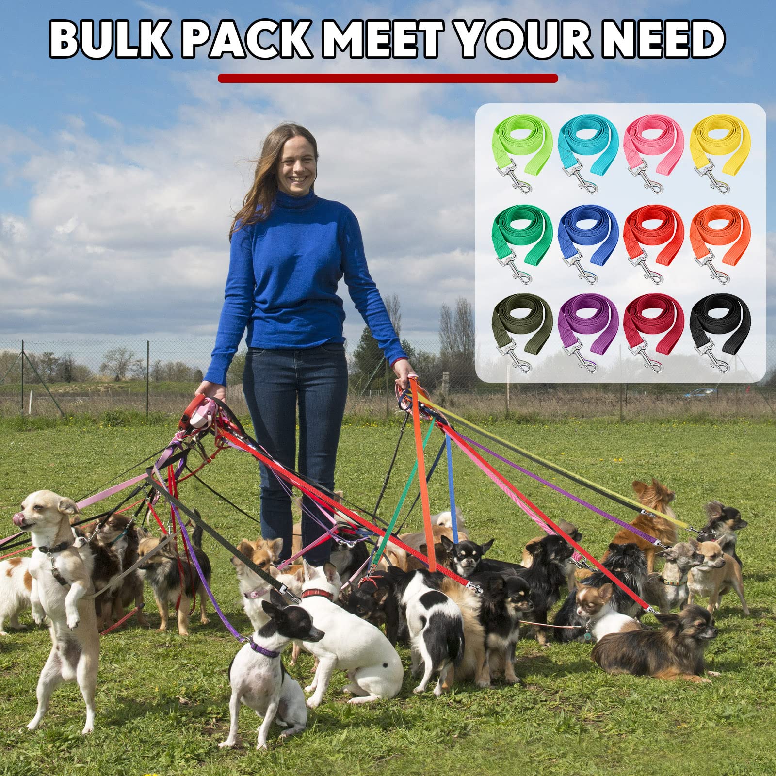 12 Pcs Nylon Dog Leash Bulk 5Ft Dog Training Leash 12 Colors Puppy Line Traction Rope For Small Medium Puppy Training, Play, Cam