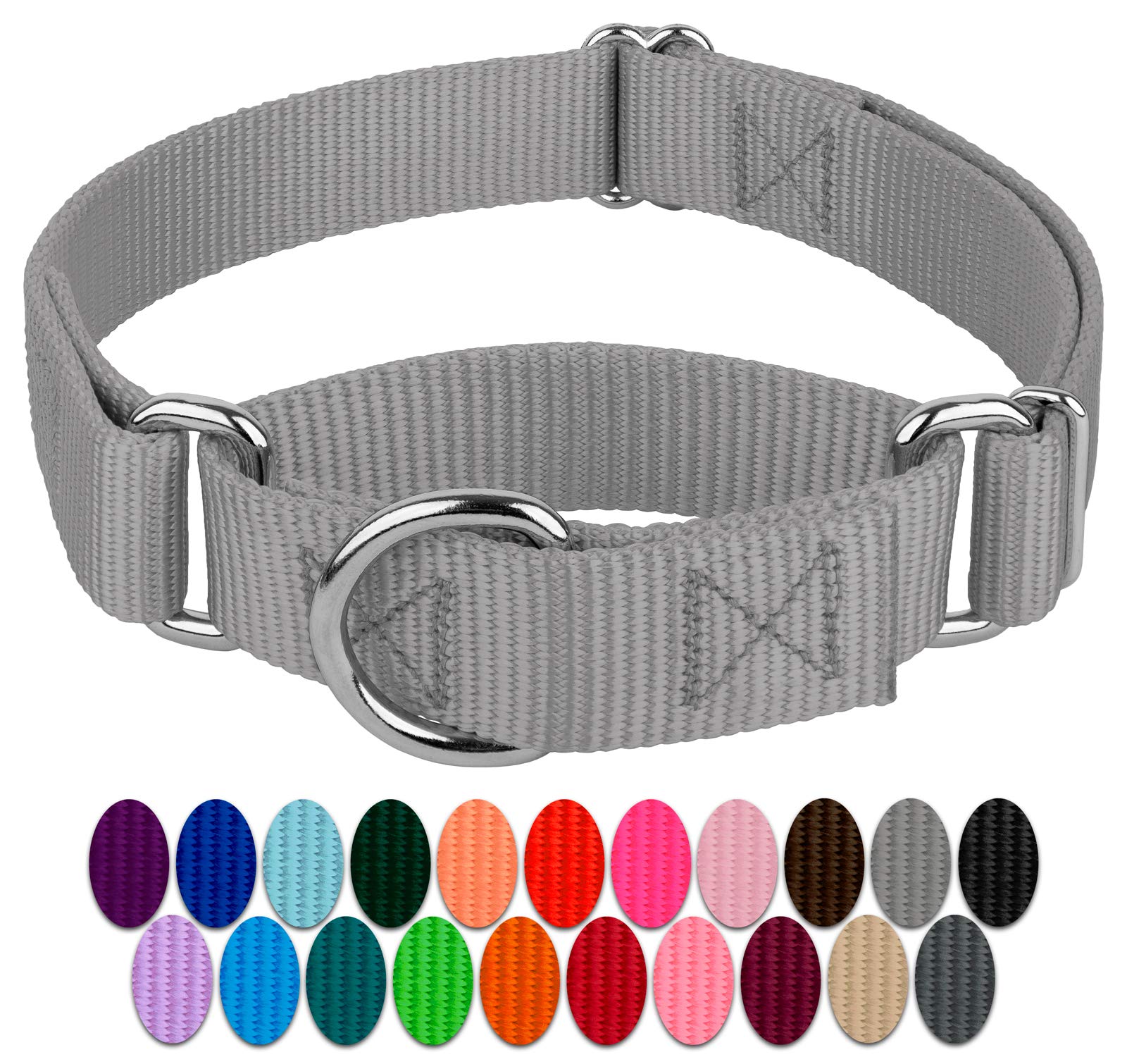 Country Brook Design - Silver Martingale Heavy Duty Nylon Dog Collar - 21 Vibrant Color Options (3/4 Inch Width, Small)