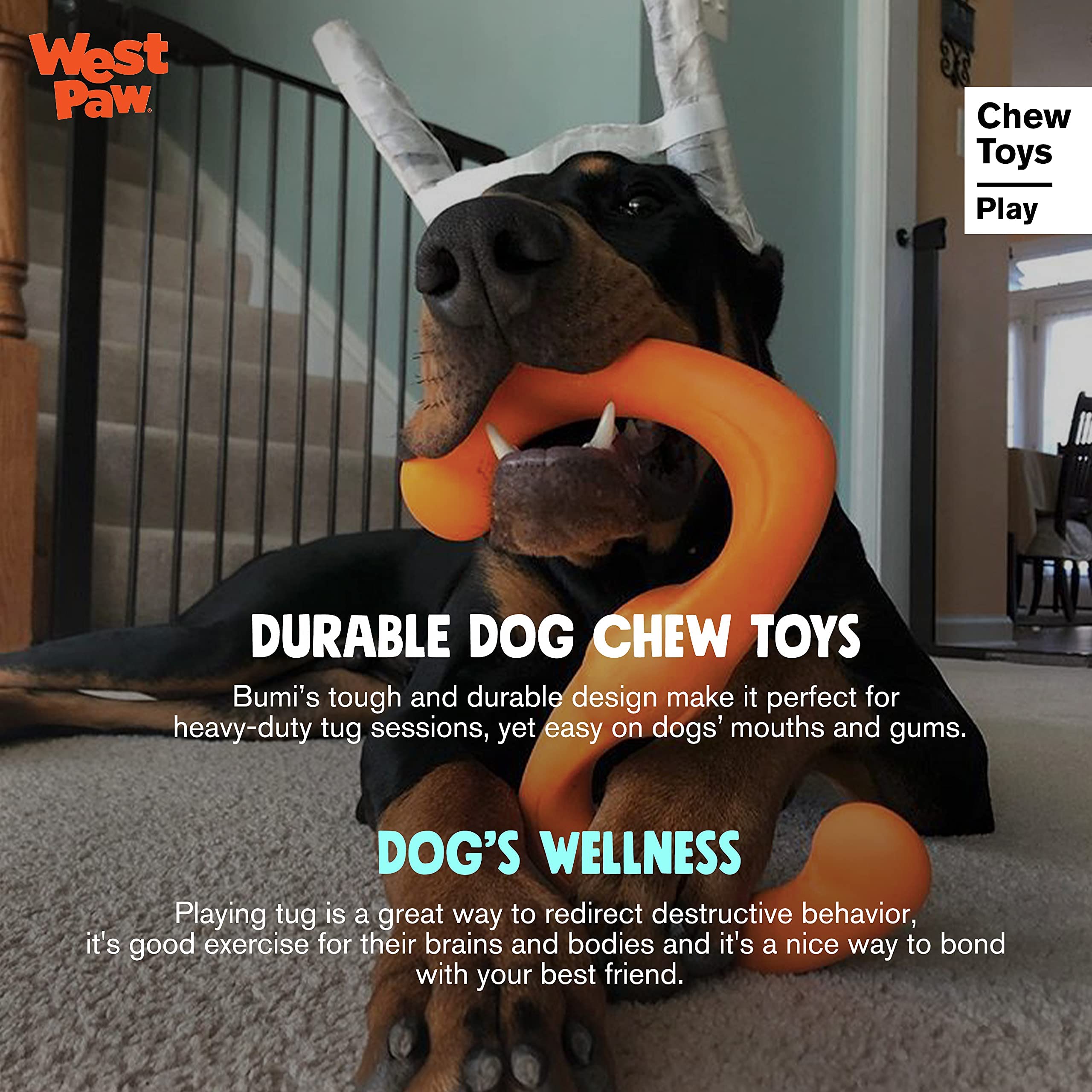 West Paw Design Zogoflex Bumi Dog Toy