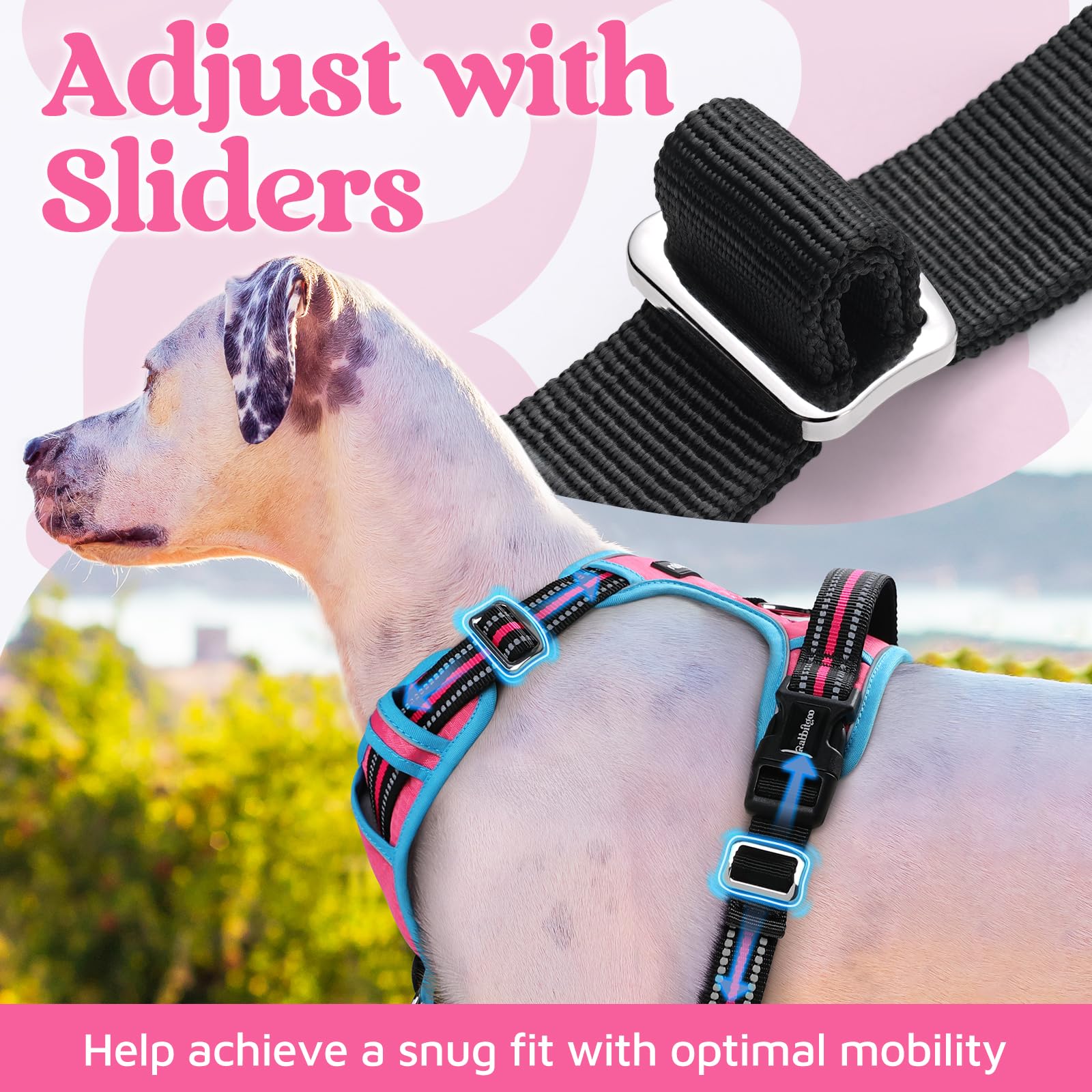 Rabbitgoo Dog Harness Small Sized, No Pull Dog Vest With 3 Buckles, Adjustable Soft Padded Pet Harness With Easy Control Handle