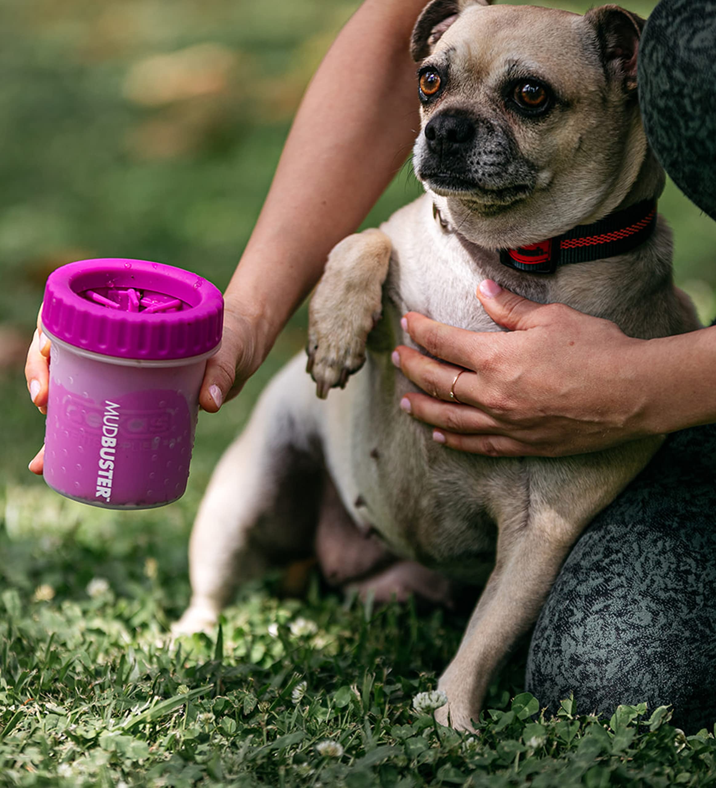 Dexas Mudbuster Portable Dog Paw Washer/Paw Cleaner, Small, Fuchsia