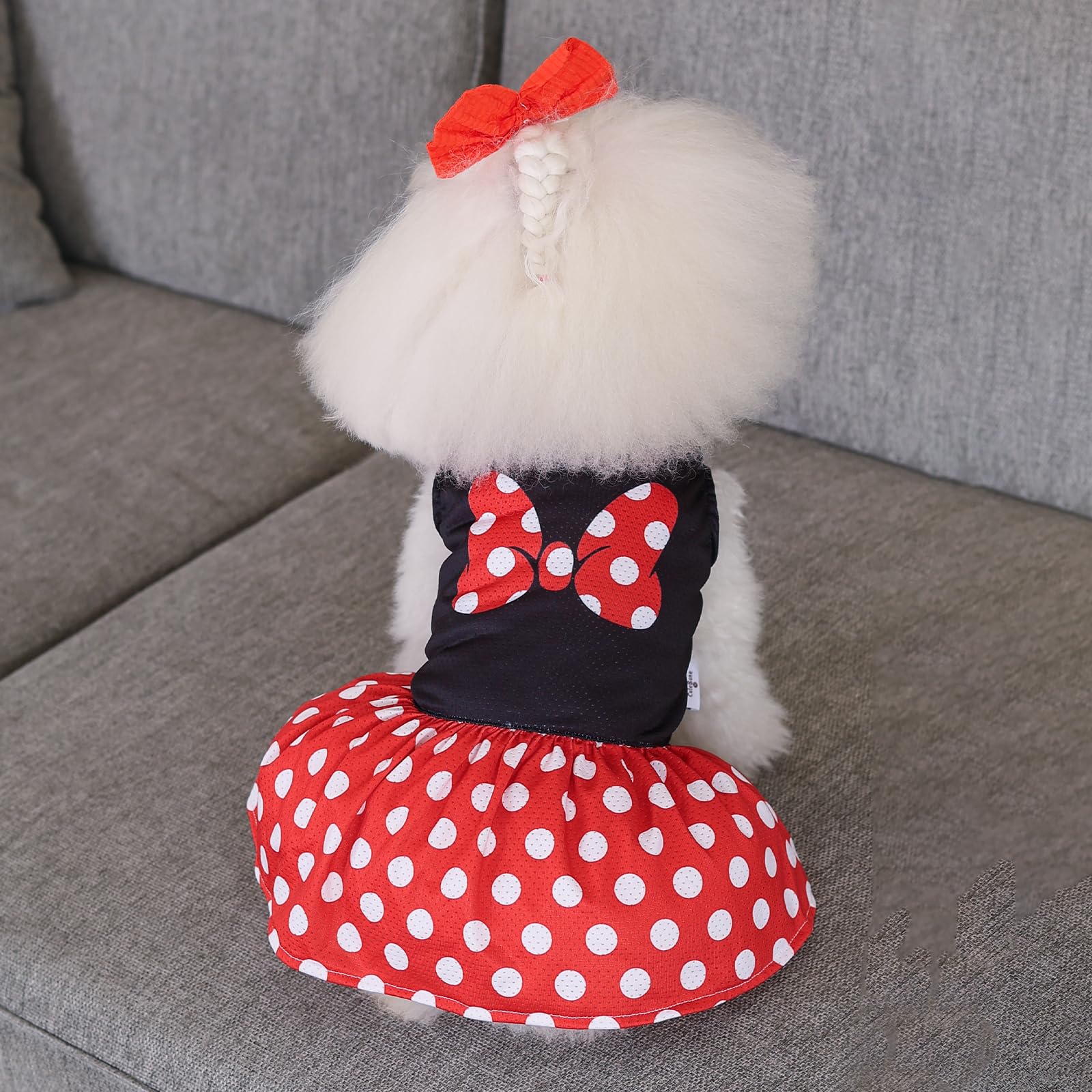 Cutebone Dog Mesh Dress Puppy Sundress Pet Outfit Summer Fashion For Small Dogs Girl Cat Clothes Bf33Xs-D