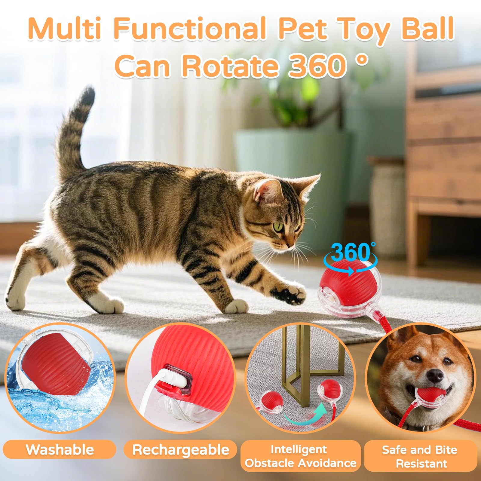 Goosheep 2025 New 3Pack Cat Ball Kitten Toys For Indoor Interactive Kitty Ball Toy Speedy Tail 360 Automatic Rolling(Red Grey Gr