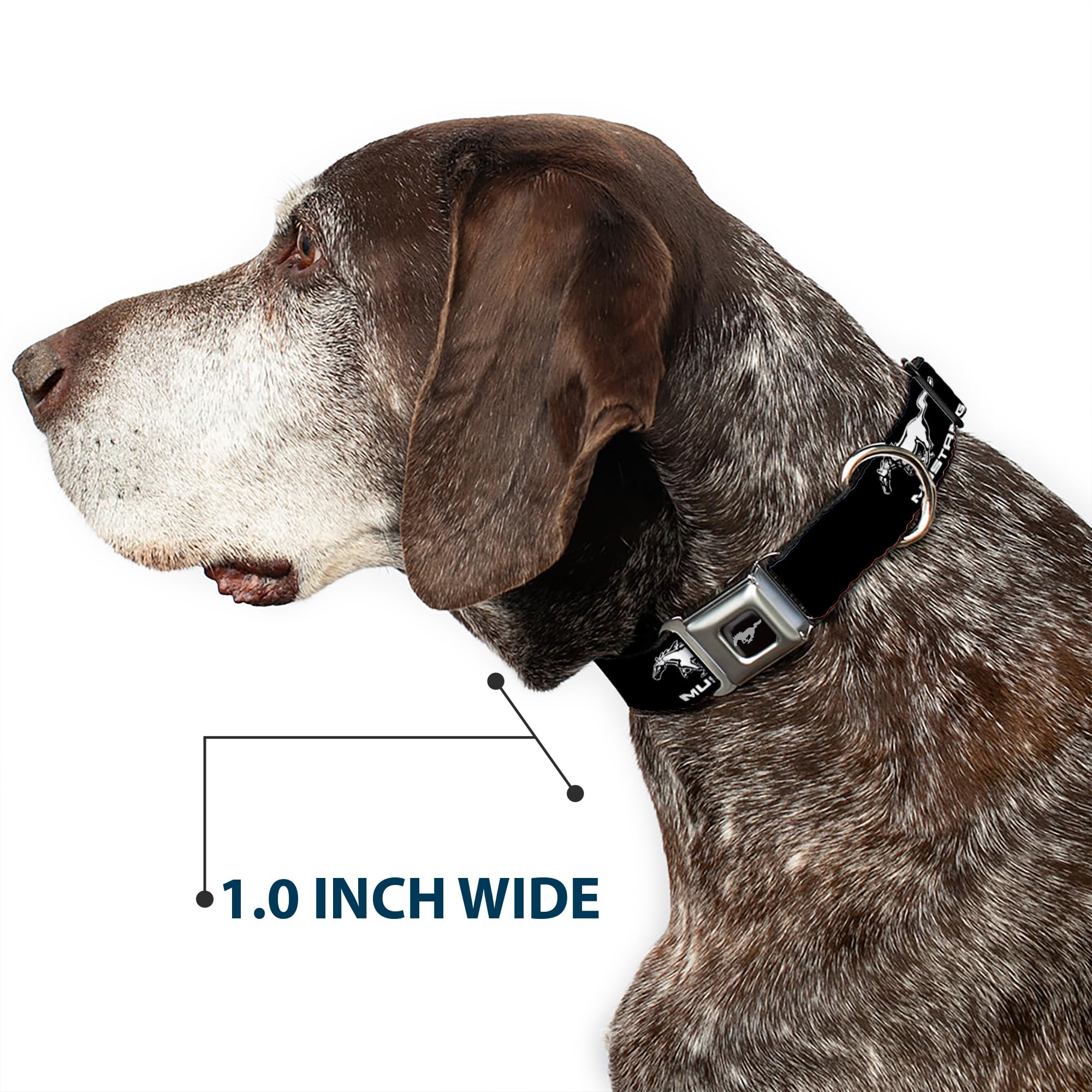 Buckle-Down Seatbelt Buckle Dog Collar - Ford Mustang Black/White Logo Repeat - 1' Wide - Fits 11-17' Neck - Medium