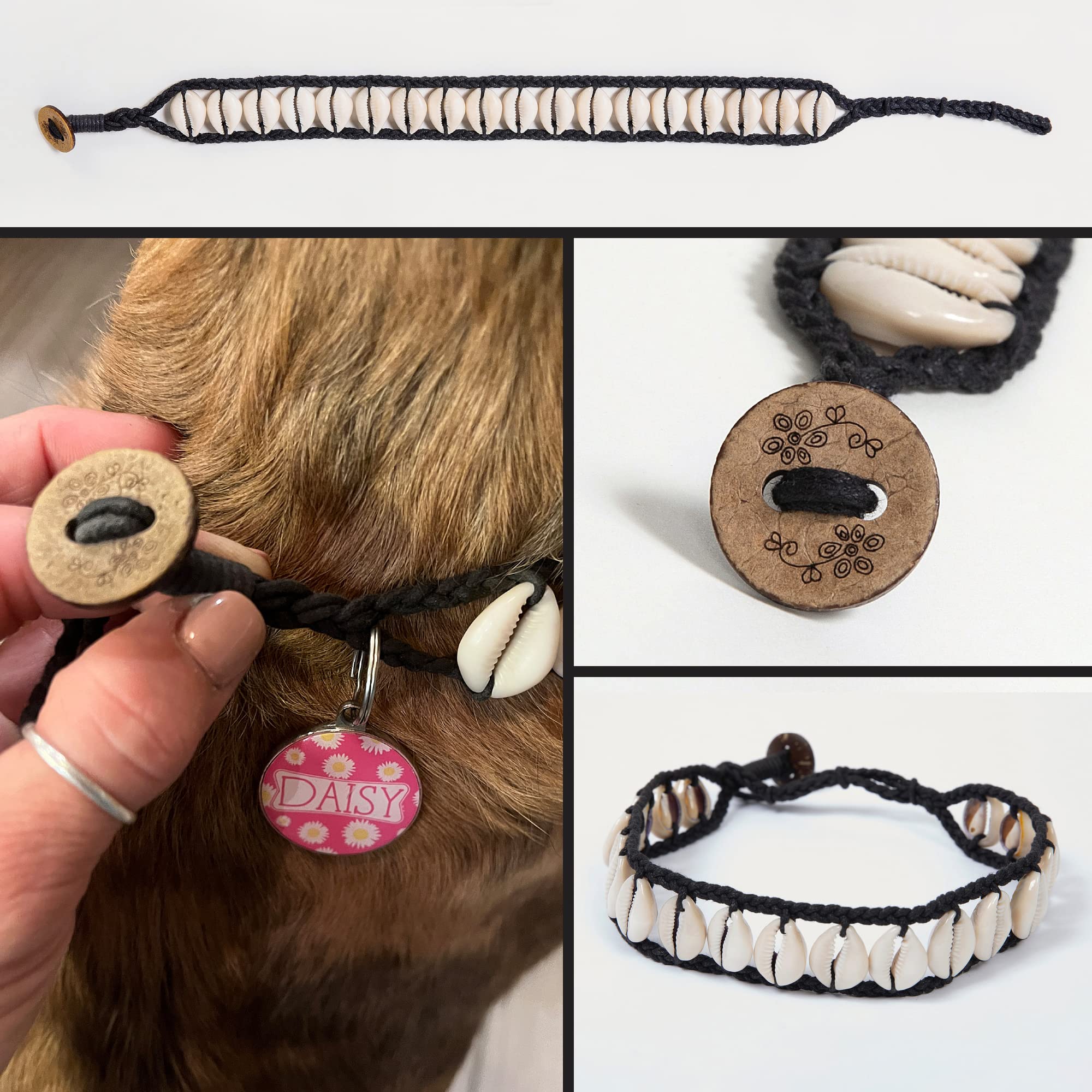 Handmade Seashell Dog Collar, Cool Dog Collar Cute Pet Collar Awesome Pet Necklace Fun Dog Stuff Designer Dog Fashion Nautical D