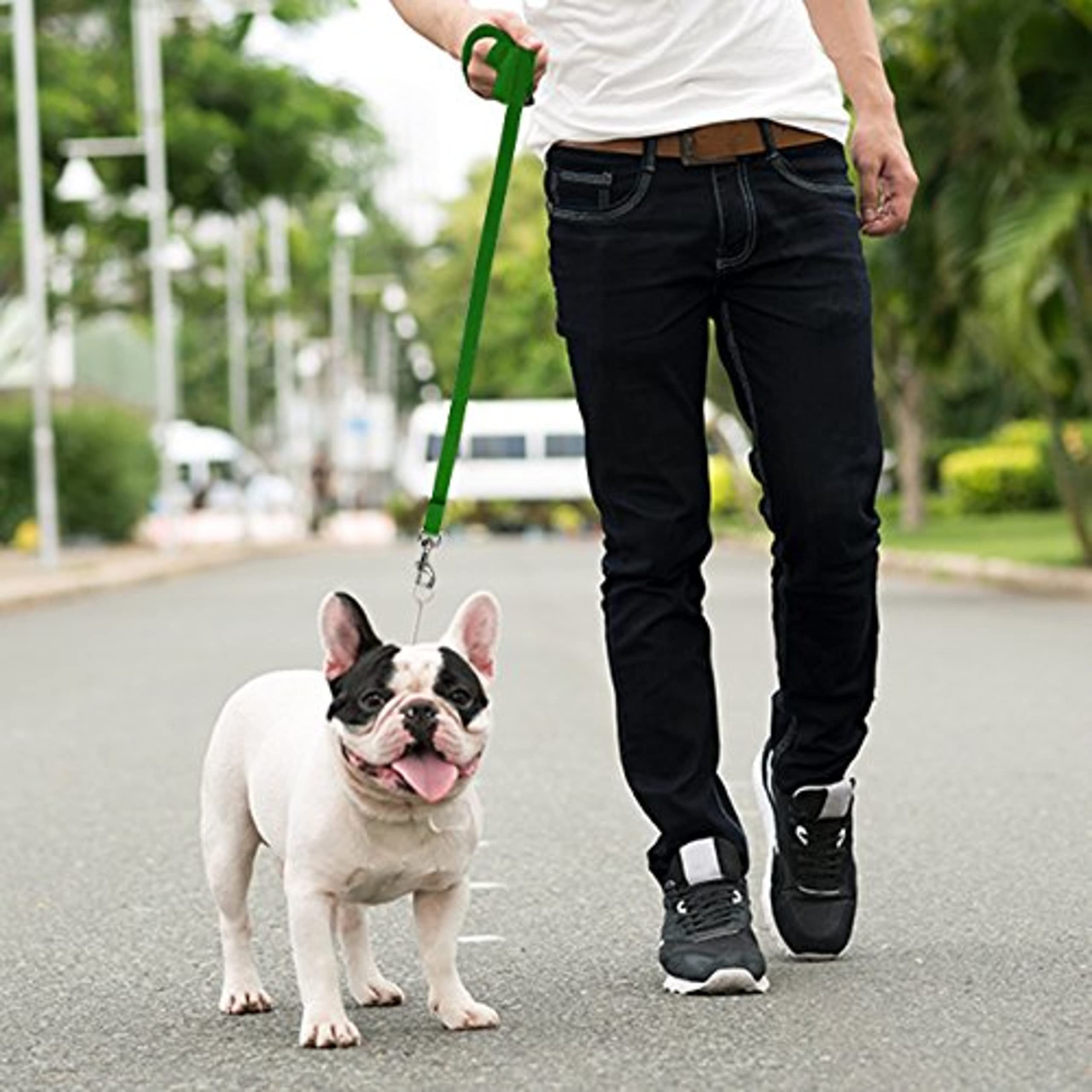 Downtown Pet Supply Dog/Puppy Obedience Recall Training Agility Lead