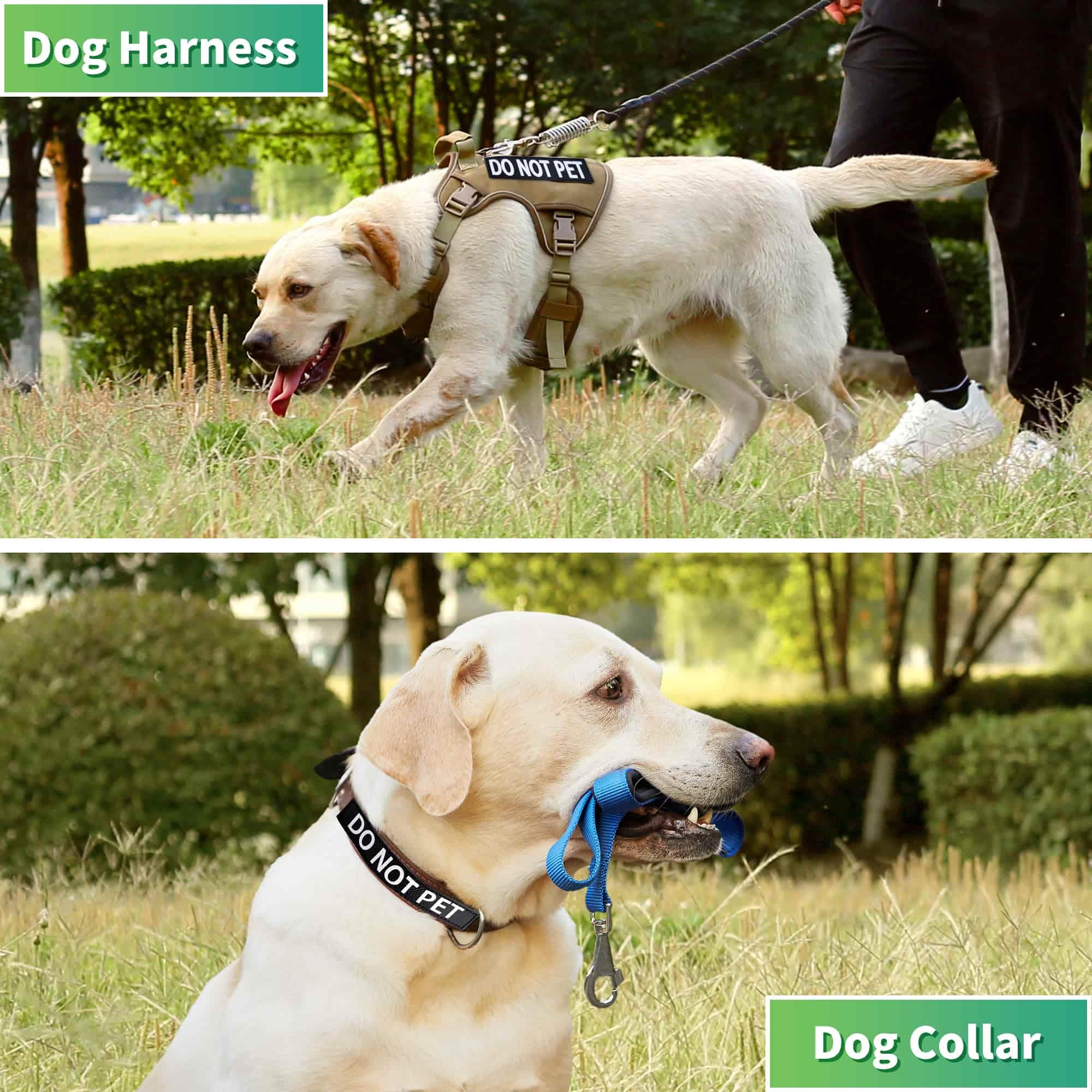 6 Pack Reflective Service Dog Patches, In Training Patches With Hook And Loop, Removable Do Not Pet Dog Patches For Harness