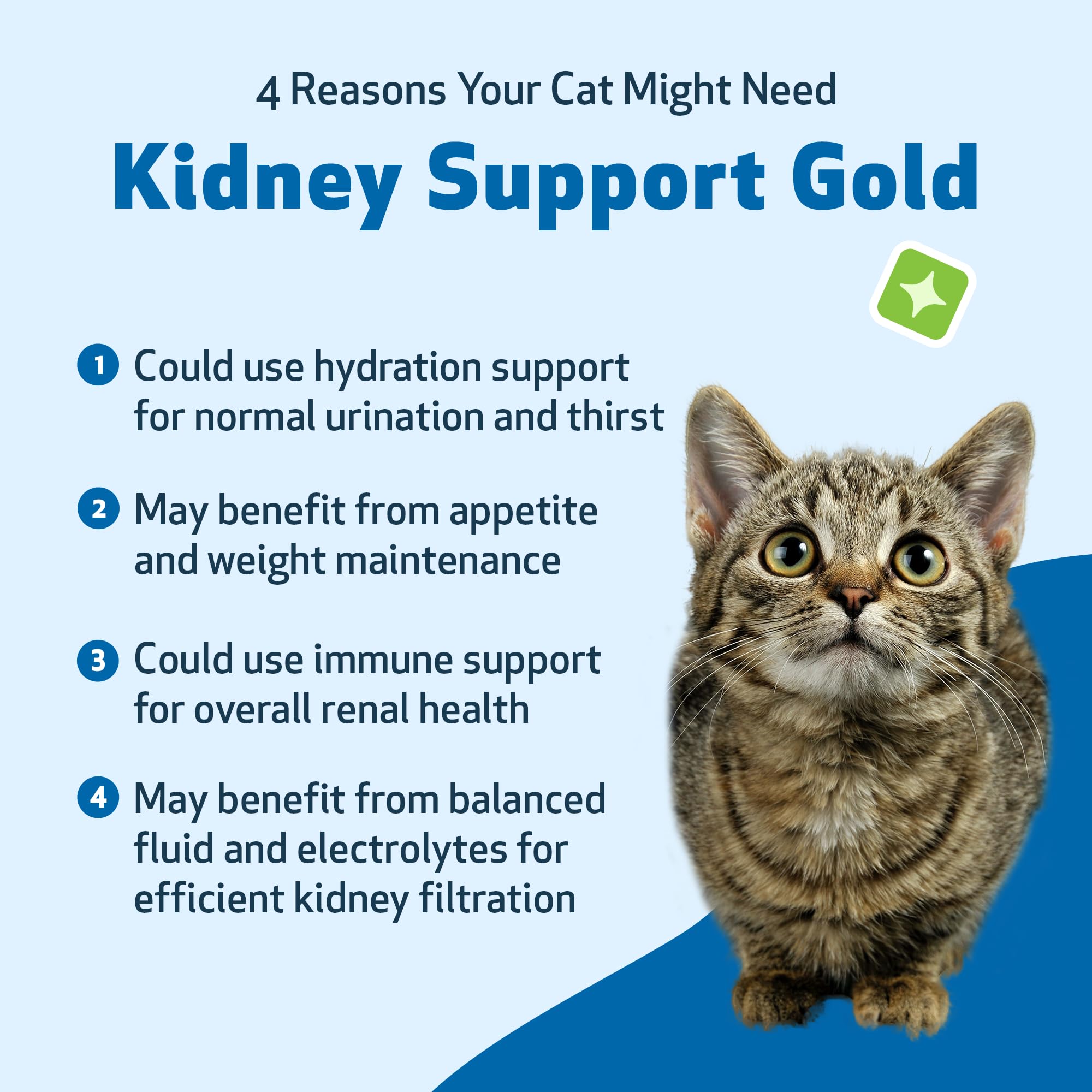 Pet Wellbeing Kidney Support Gold for Cats - Supports Healthy Kidney Function, Fluid Balance, Energy Levels, Rehmannia, Dong Qua