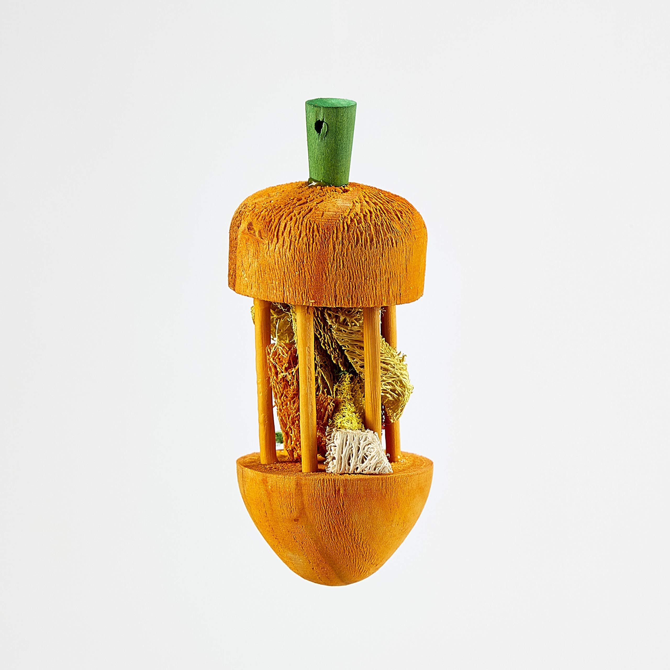 PI LG CARROT CAROUSEL CHEW
