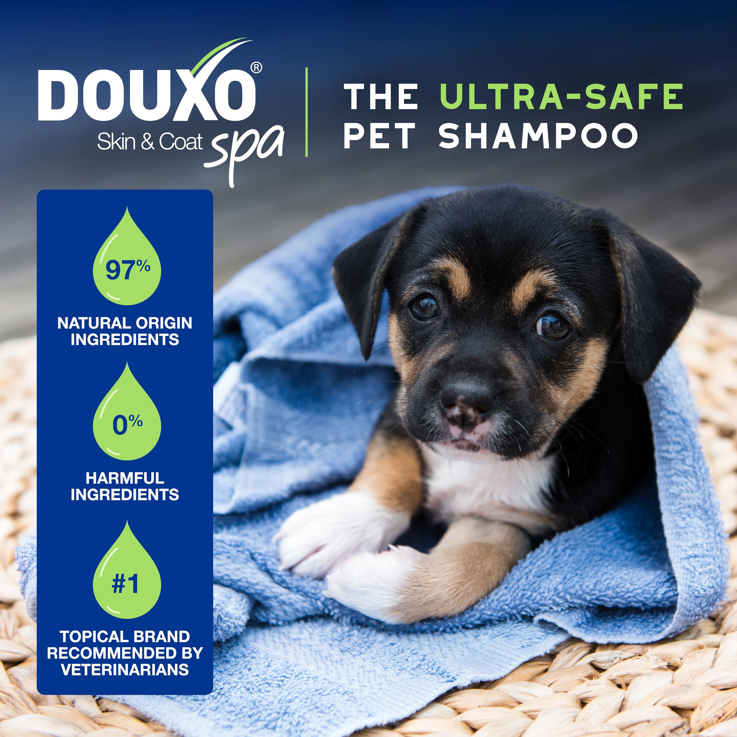 Douxo DOUXO® Skin & Coat SPA Puppy Shampoo - 16 fl oz, Ultra-Safe, Skin-Friendly Formula, Translucent, Model G90710B