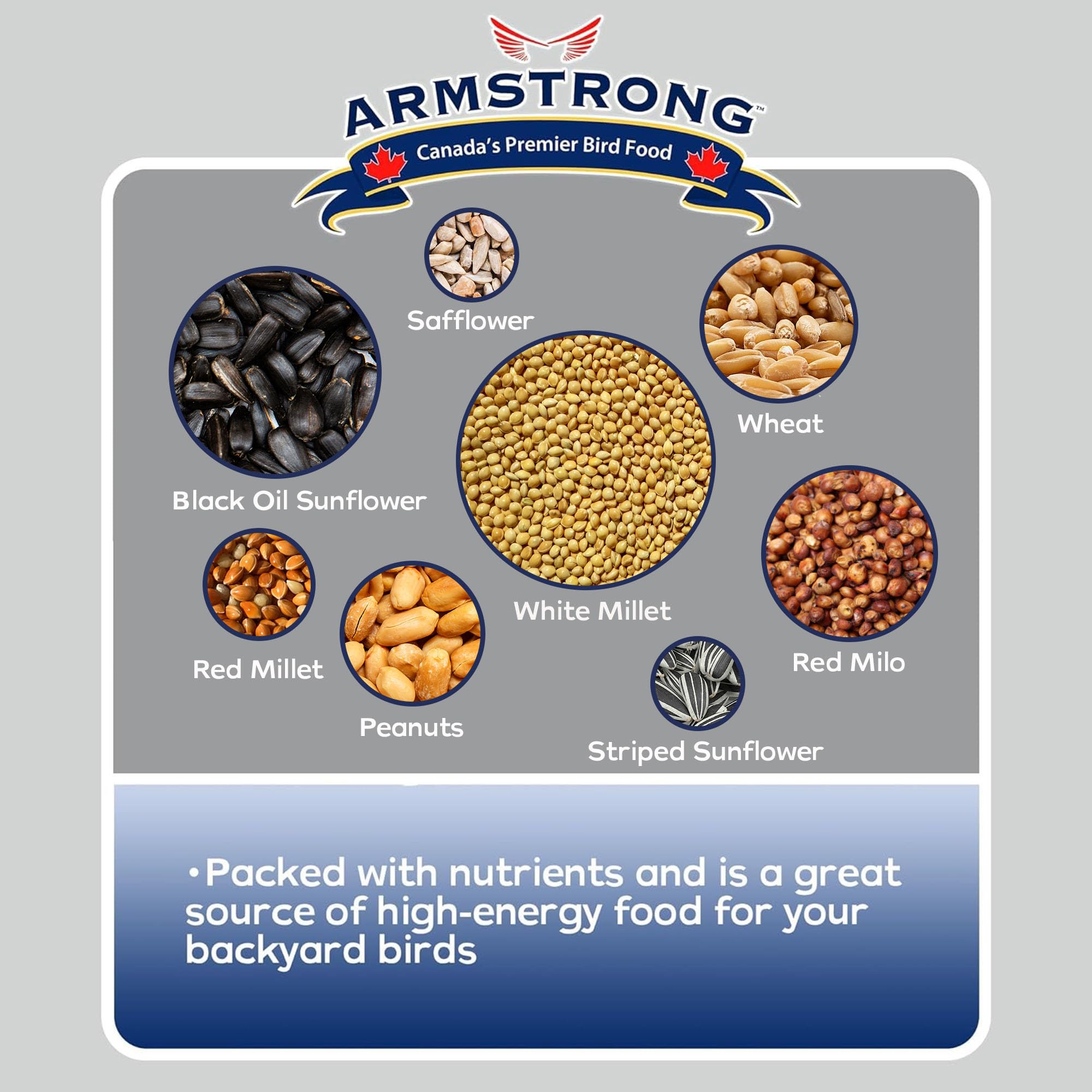 Armstrong Wild Bird Food Premium Blend, 30.8 Pounds - with White Millet, Black Oil Sunflower, Wheat, Peanuts, Striped Sunflower