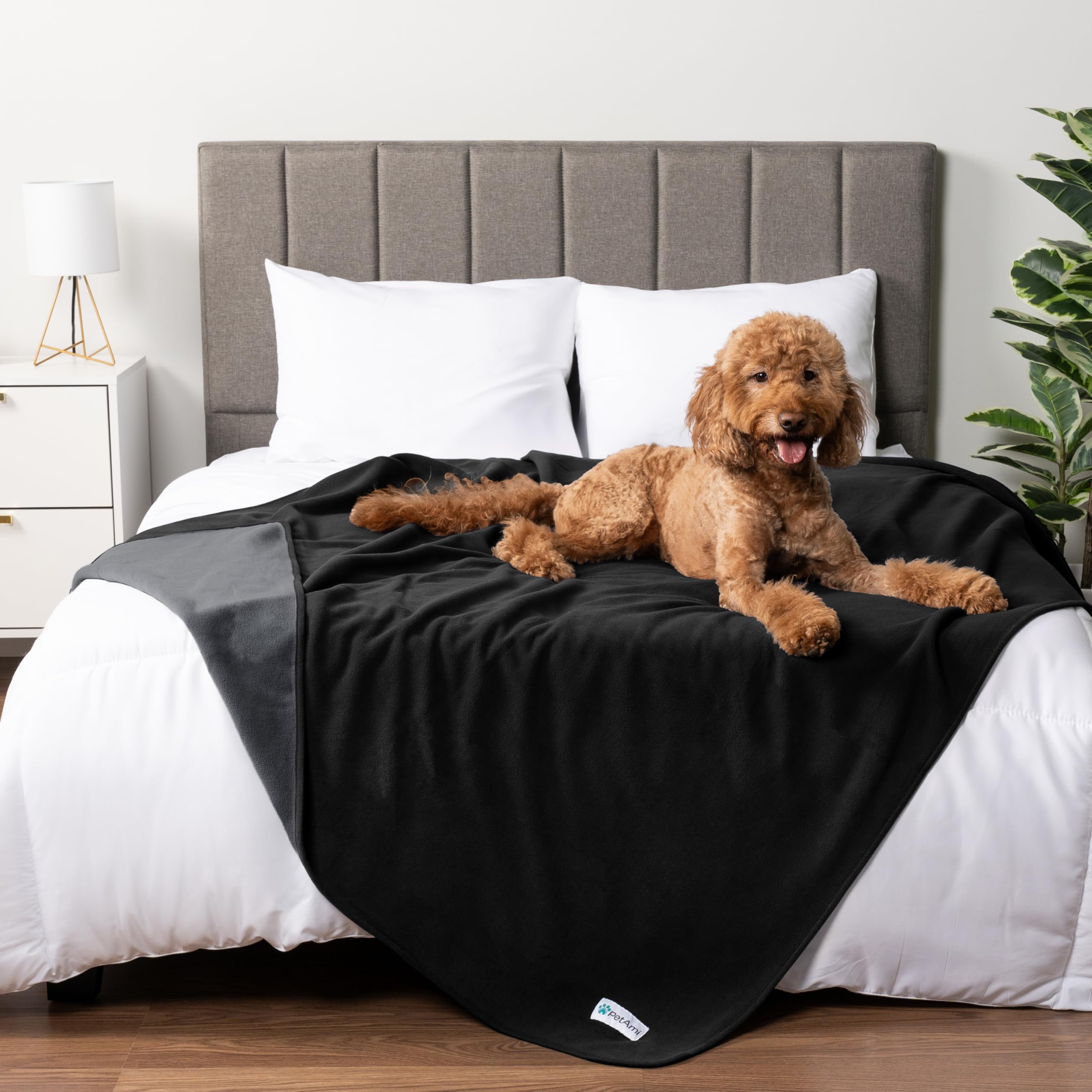 Petami Waterproof Dog Blanket For Medium Large Pets Dogs Cats, Pet Couch Cover Protector For Furniture, Reversible Washable Soft Fleece Cat Blanket For Bed Couch Sofa, 40X60 (Black/Gray)