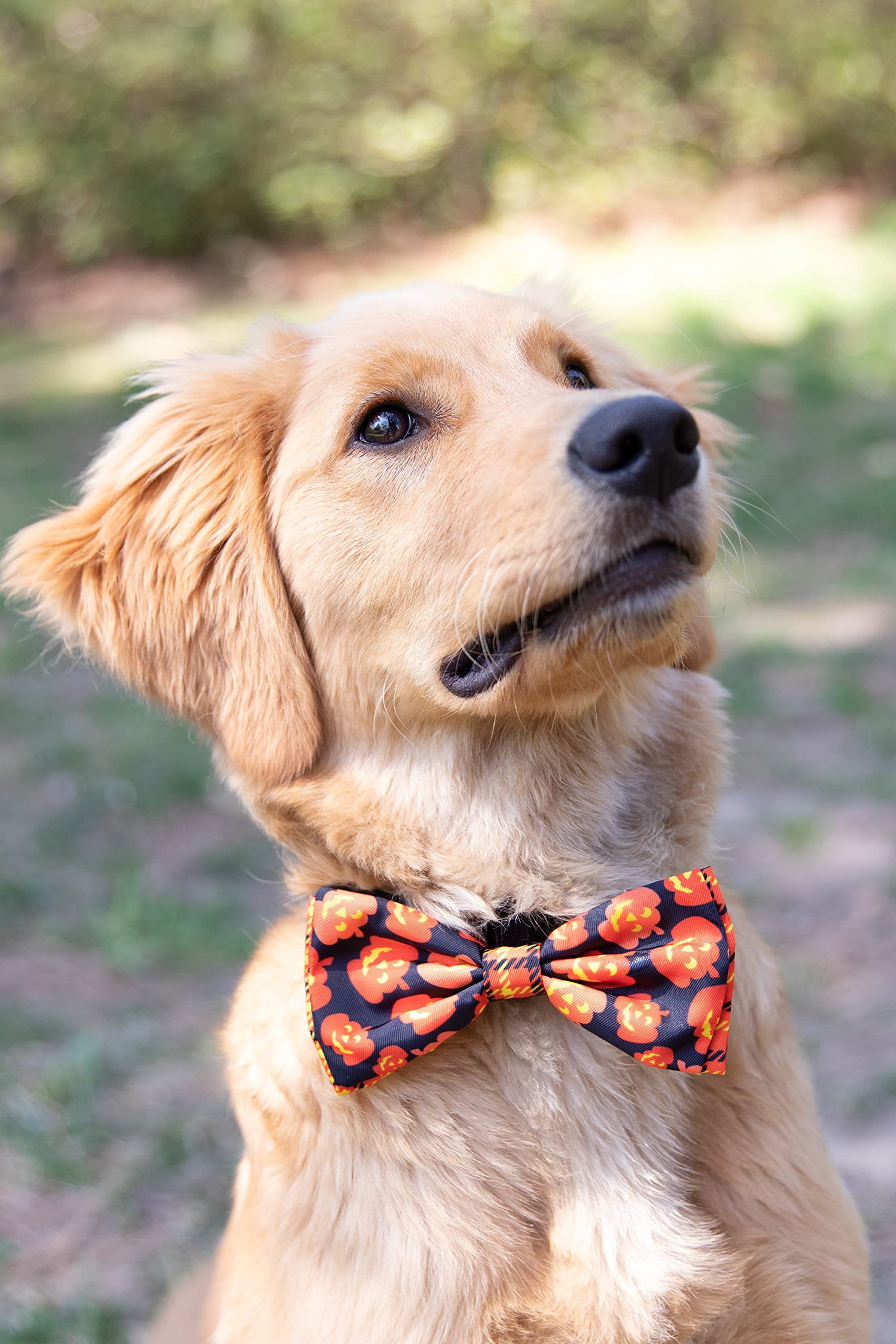 Huxley & Kent Bow Tie For Pets | Plaid-O-Lantern (Small) | Halloween Bow Tie Collar Attachment | Fun Bow Ties For Dogs & Cats | Cute, Comfortable, And Durable | H&K Bow Tie