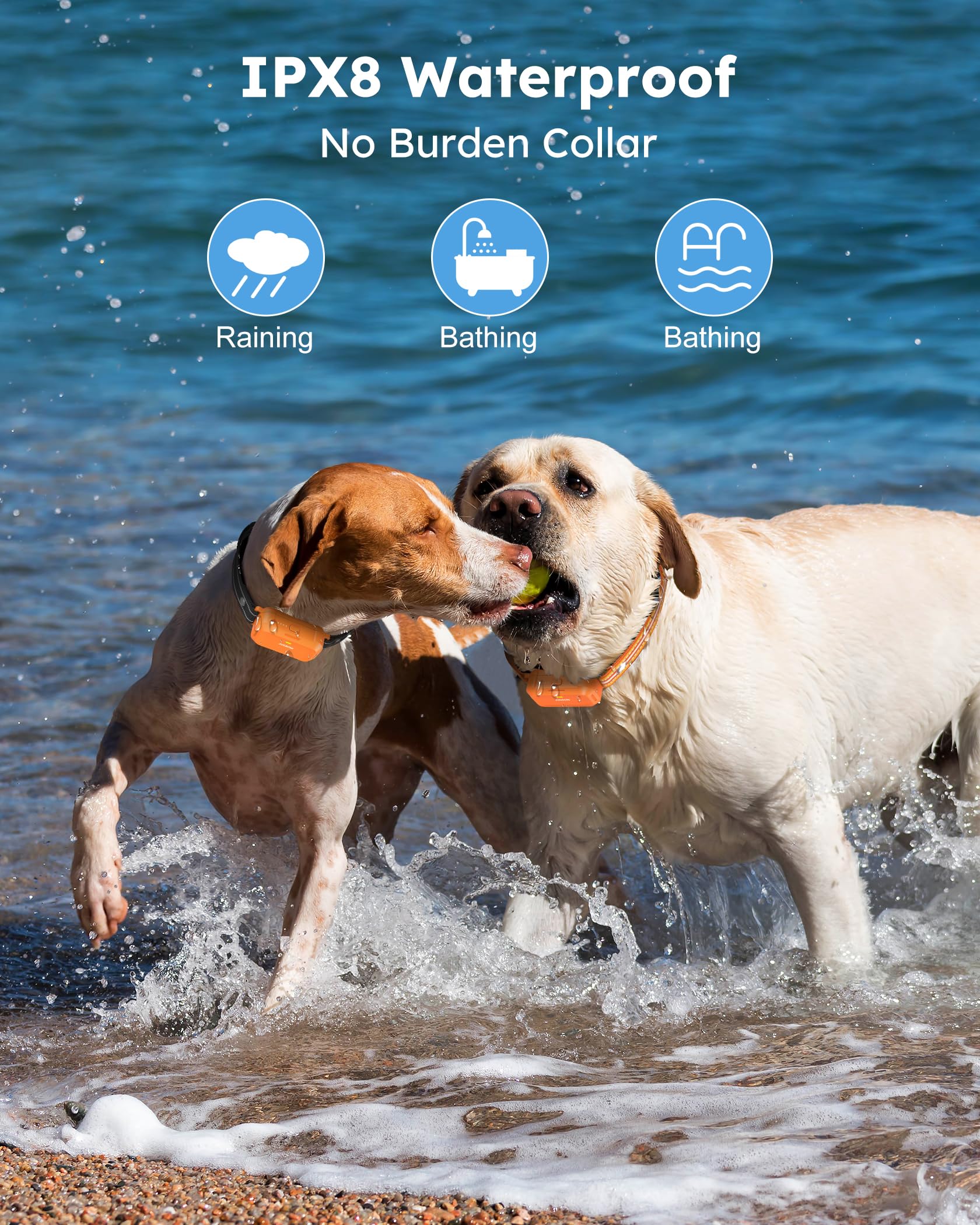 Jugbow Dog Shock Collar 2 Dogs (10-120Lbs) - 4200Ft Dog Training Collar With Remote Control, Ipx8 Waterproof Rechargeable E Coll