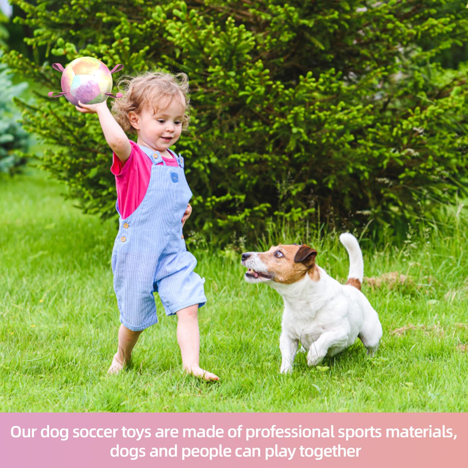 Qdan Dog Toys Soccer Ball With Straps, Durable Dog Balls For Tug Of War, Puppy Birthday Gifts, Dogs Water Toy Small Dogs-Rainbow
