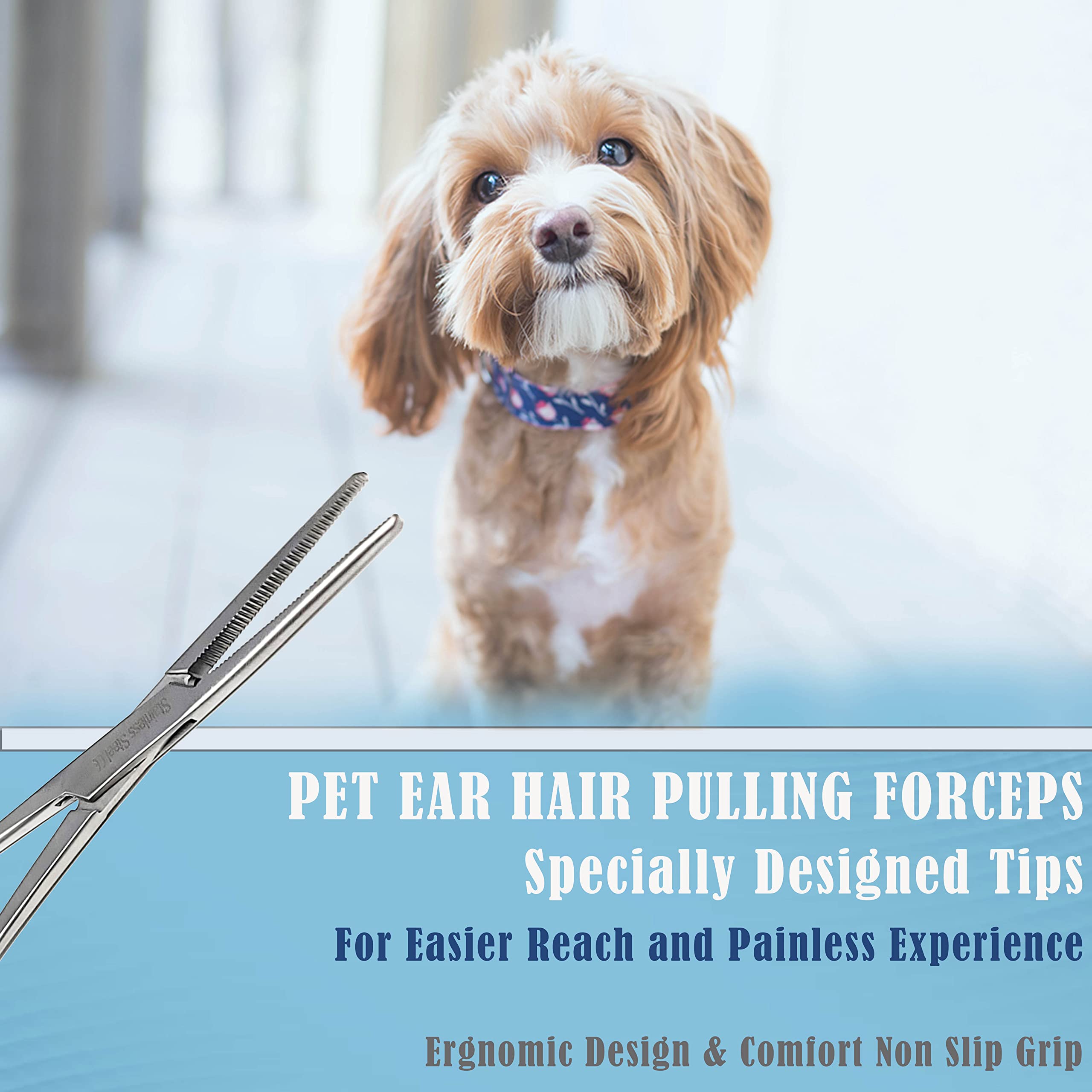 Dog Pet Ear/Nose Hair Puller Grooming Hemostat Locking Forceps Pliers, 5.5 (14cm), Straight (Gold Handle)