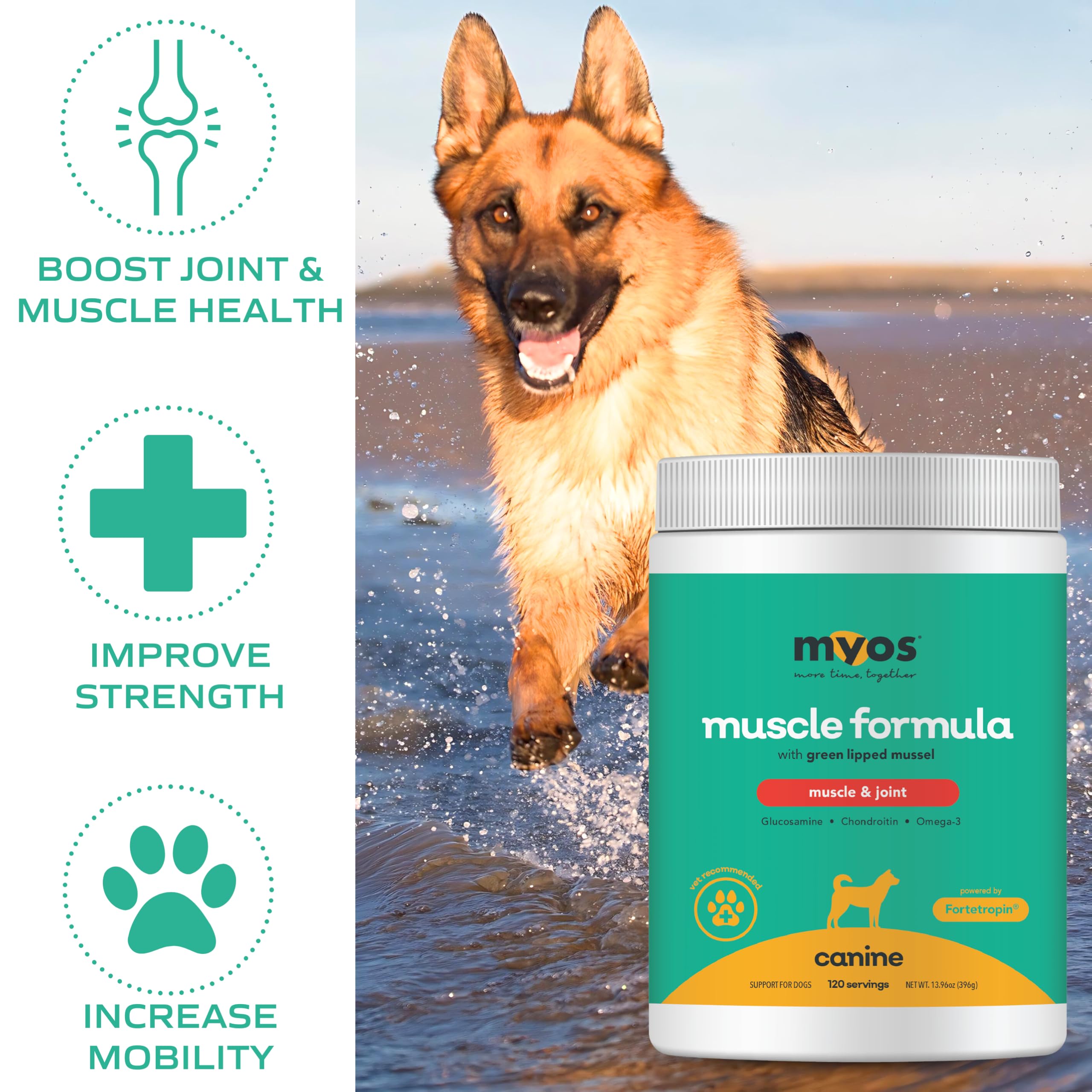 MYOS Muscle & Joint Powered by Fortetropin with Green Lipped Mussel (396 gr)