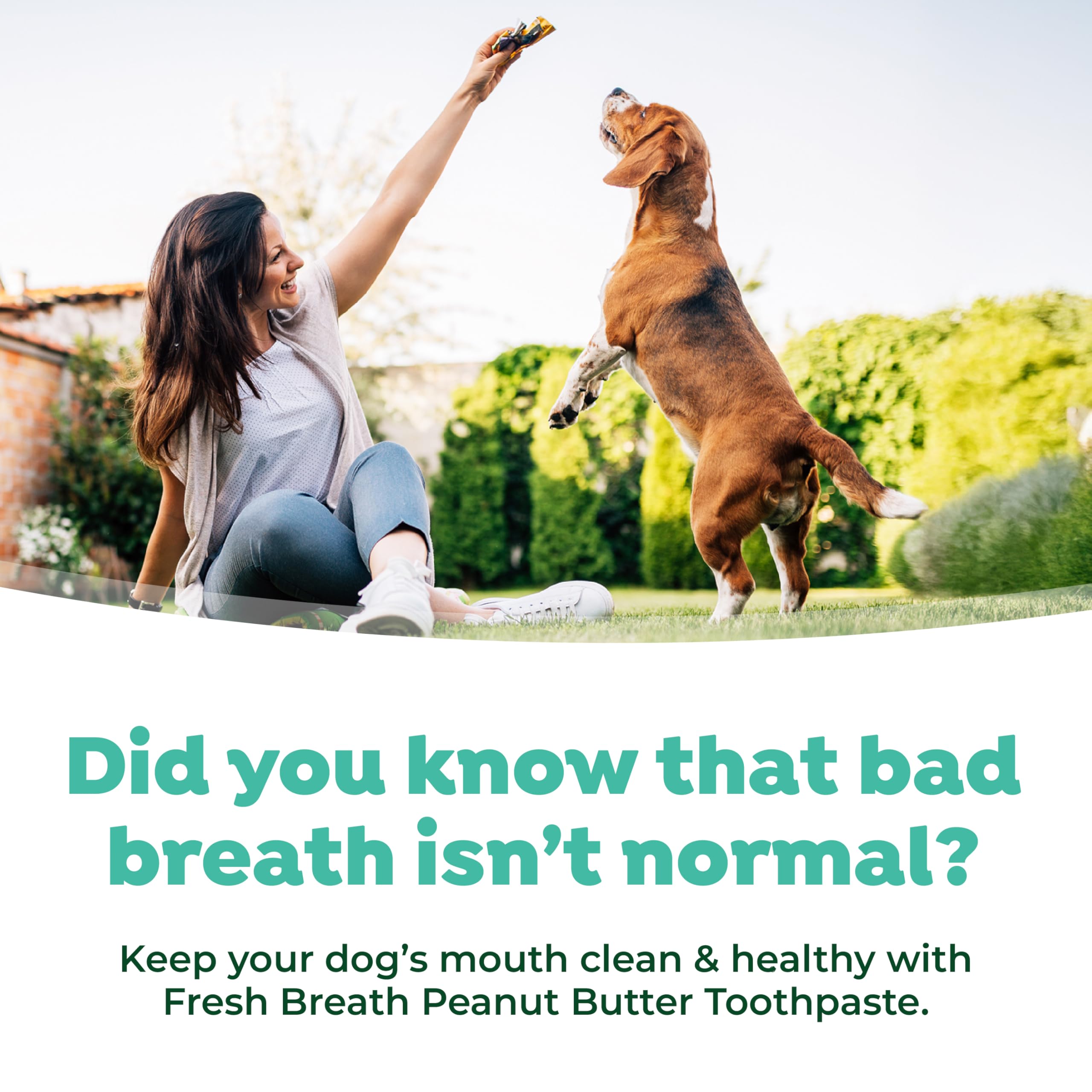 Tropiclean Fresh Breath - Kong Dental Ball For Small Dogs - Dog Teeth Cleaning Kit - Removes Plaque - Peanut Butter & Honey Dog