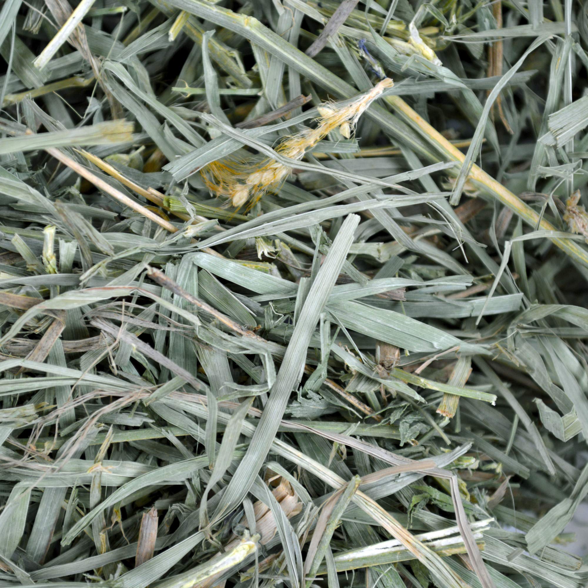 Oxbow Animal Health Meadow Hay - All Natural Hay For Rabbits, Guinea Pigs, Chinchillas, Hamsters & Gerbils - 40 Oz.