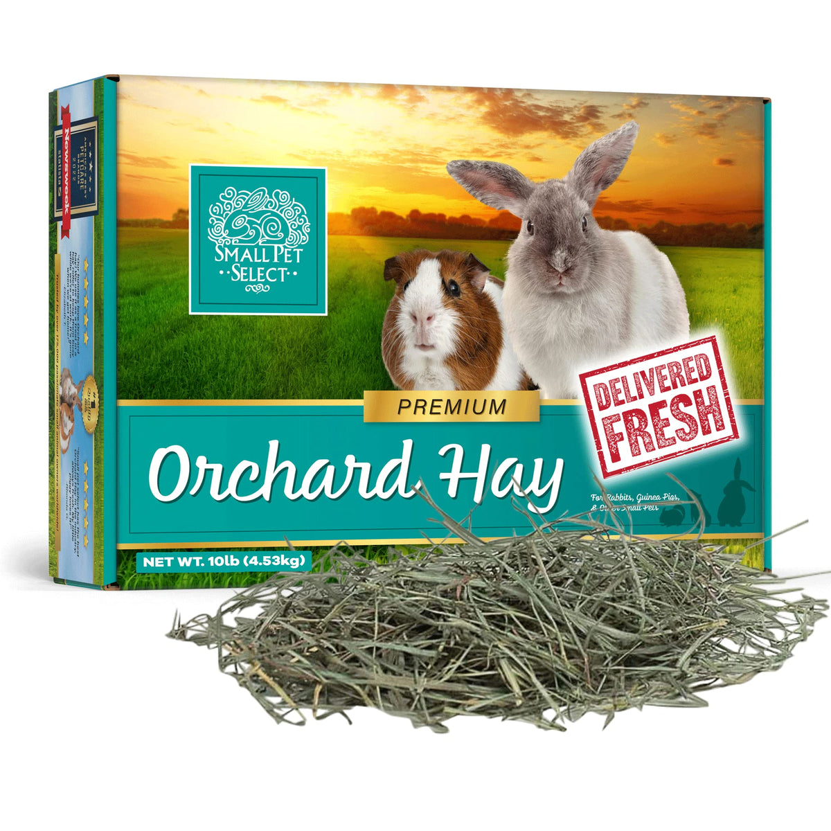 Small Pet Select Orchard Grass Hay Pet Food For Rabbits, Guinea Pigs, Chinchillas And Other Small Animals, Premium Natural Hay Grown In The Us, 10 Lb