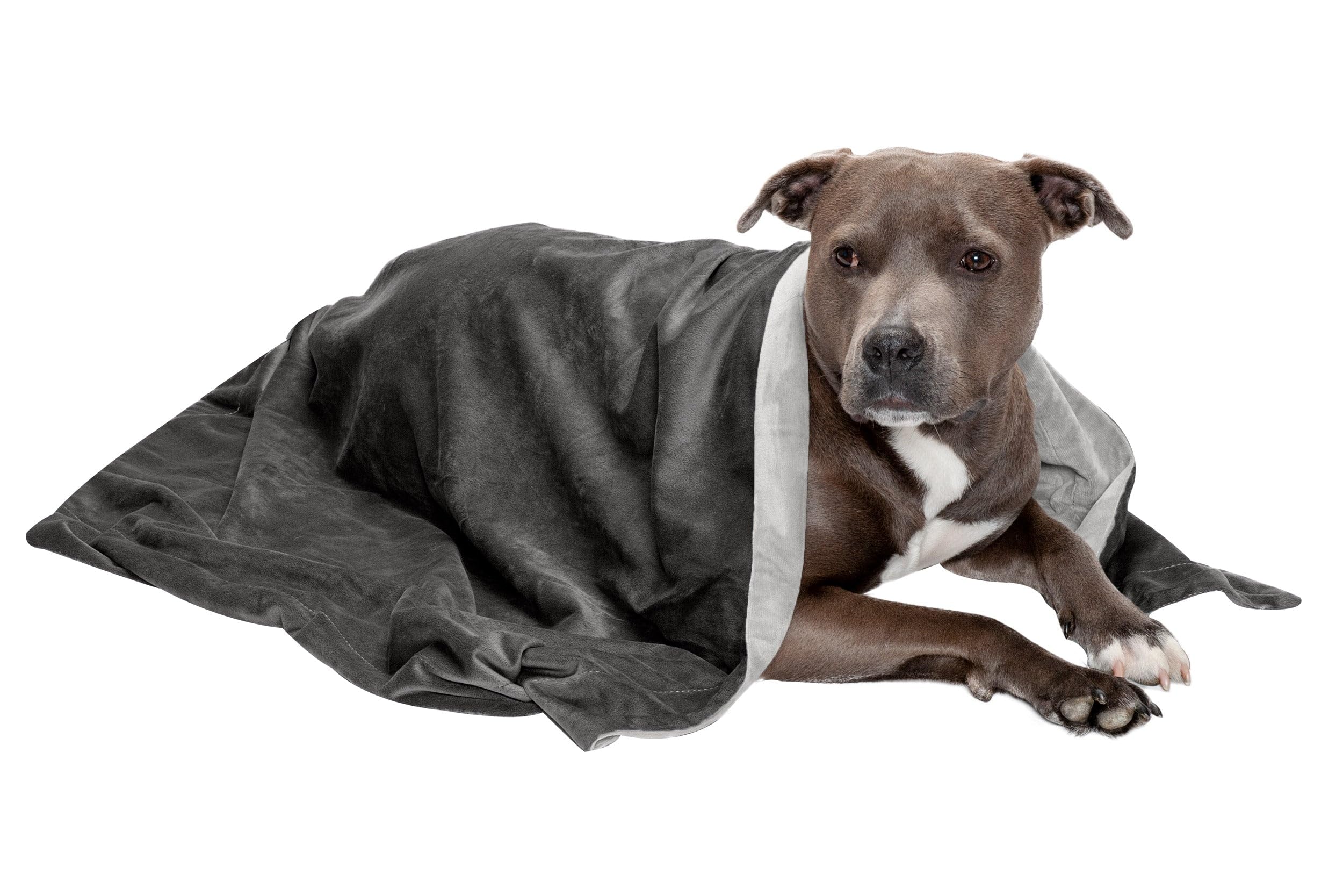 Furhaven Waterproof Throw Blanket For Dogs & Indoor Cats, Washable - Two-Tone Luxe Velvet Dog Blanket - Granite Gray, Large