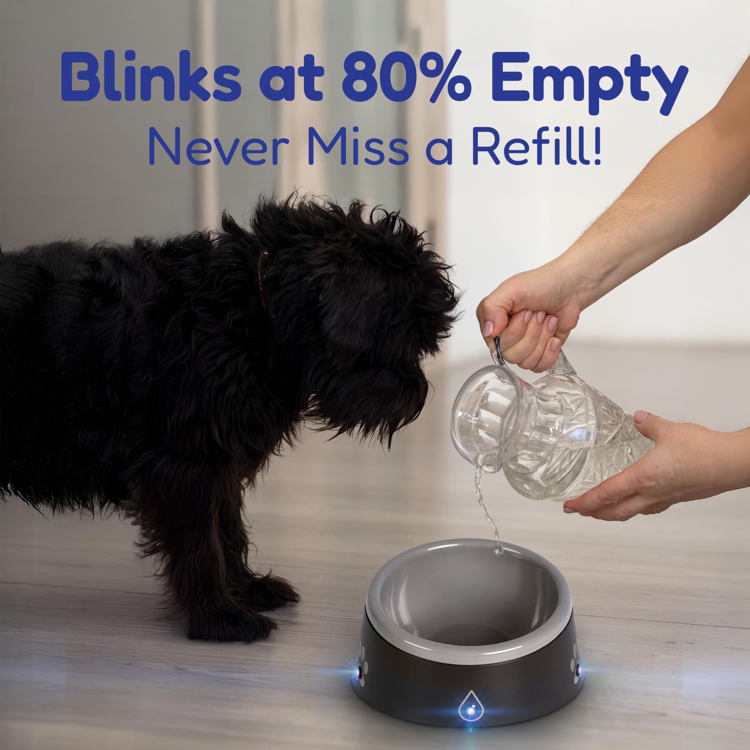 Thirstalert 16 Oz Dog/Cat Water Bowl, Led Lights Blink When Water Level Reaches Near To Empty, Food Grade Abs & Melamine