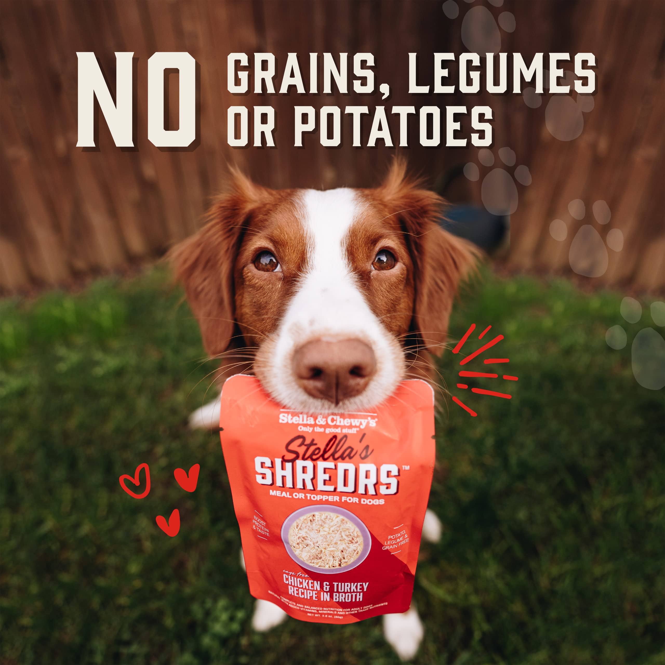 Stella & Chewys Stellas Shredrs Cage Free Chicken Recipe in Broth, 2.8 oz. Pouches (Pack of 24)