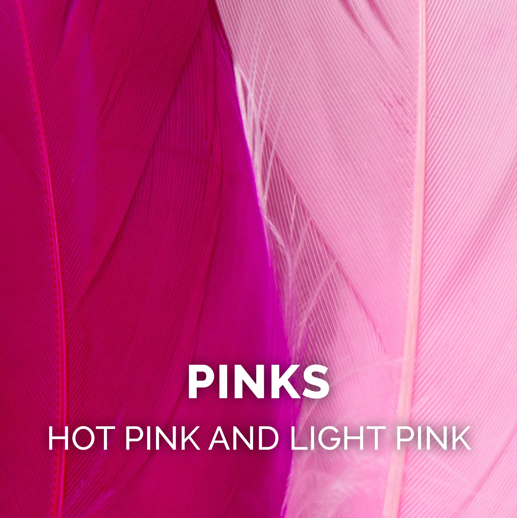 Furhaven 2-Pack Teaser Cat Wand Toy Set For Indoor Cats, Interactive Play & Exercise - Dizzy Kitty Feather Wand - Pink (Hot Pink/Light Pink), Set Of 2