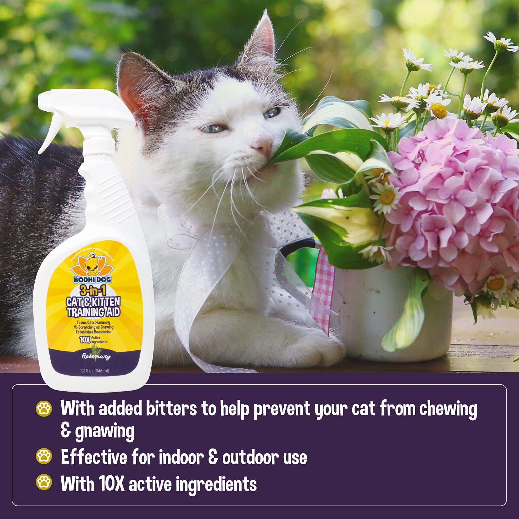 Bodhi Dog 3-in-1 Cat Training Spray | 32oz Anti-Scratch Furniture Protector | Indoor & Outdoor Use