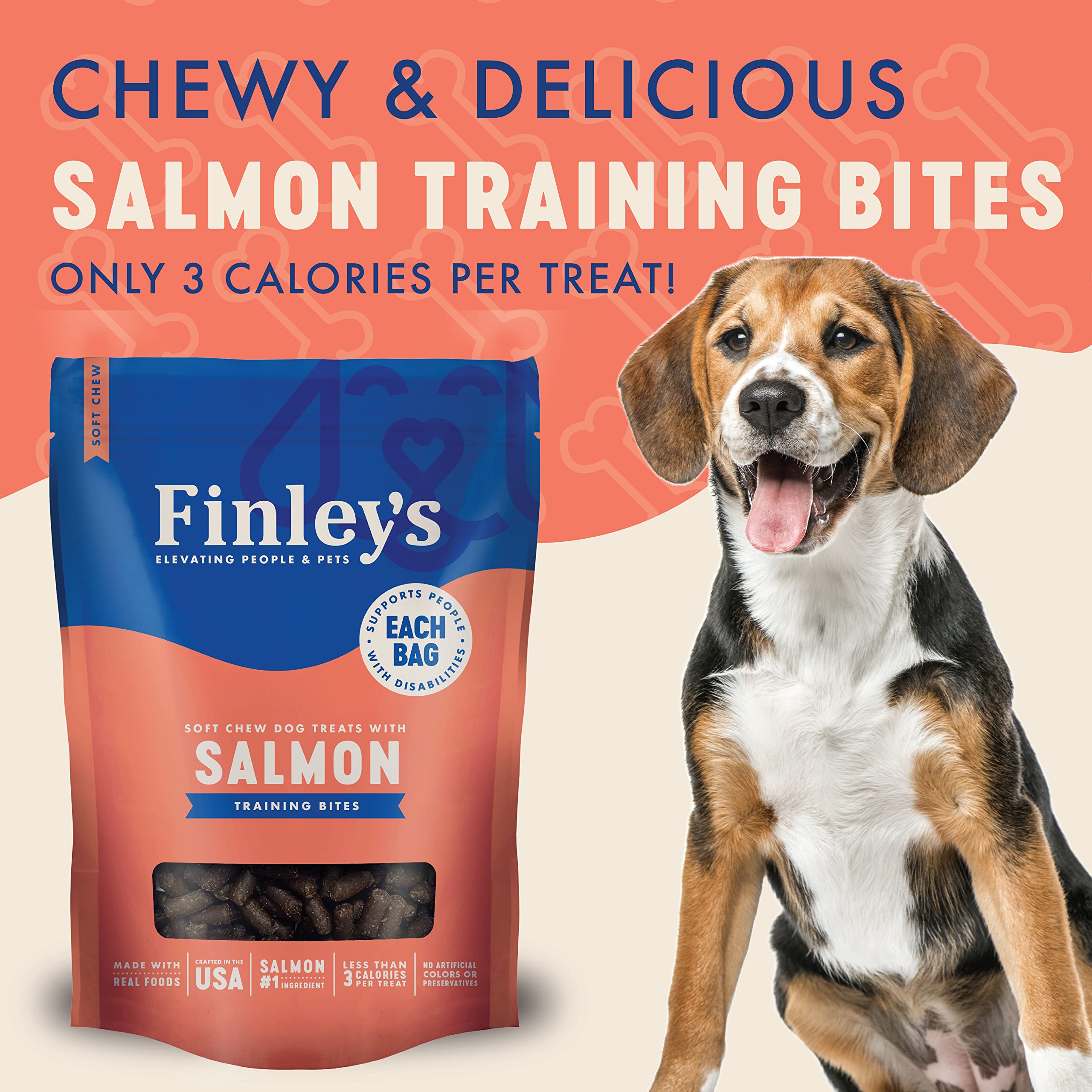 FNLY DOG TRNG BTS SALMON ( 6 X 16 OZ   )