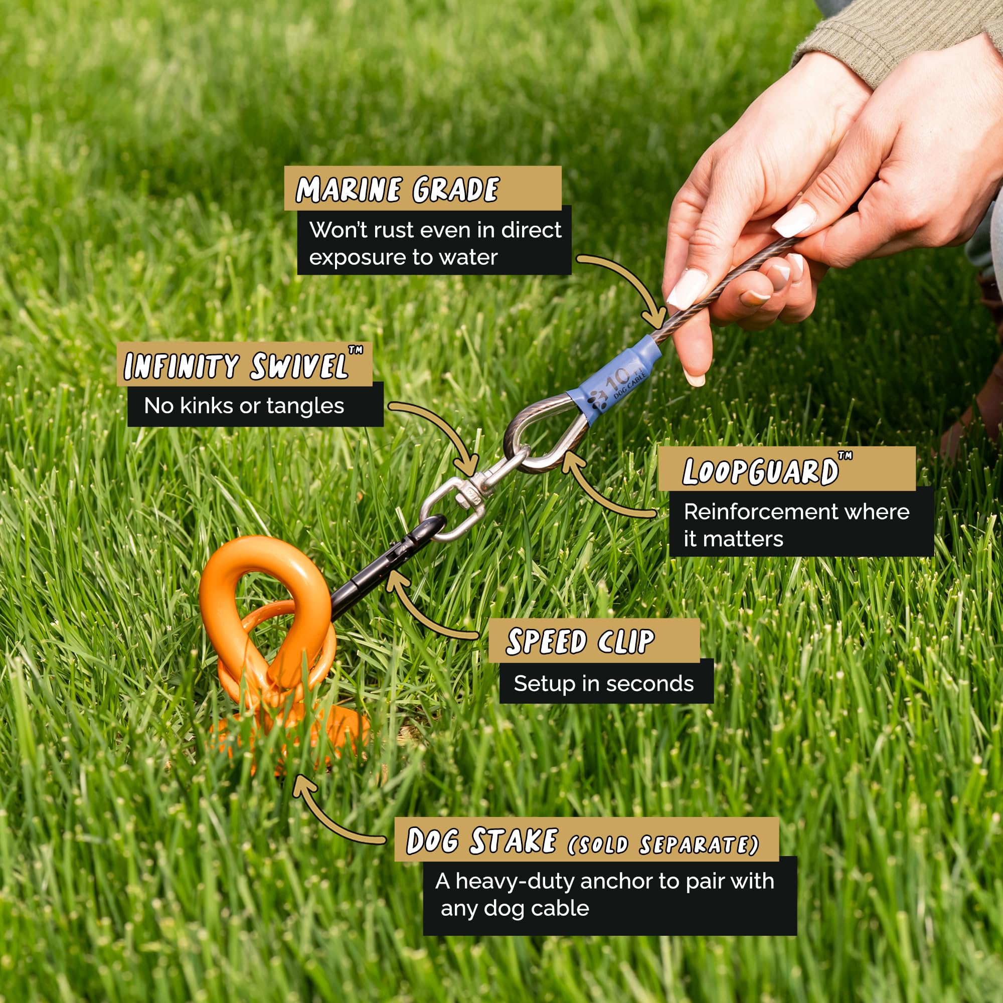Royal Paw Dog Tie Out Cable - Tie Out Cable For Dogs (Up To 300 Lbs) - Use Dog Tie-Outs & Stakes For Outside - Best Heavy Duty Dog Leash For Large Dogs (10Ft - Black Onyx)
