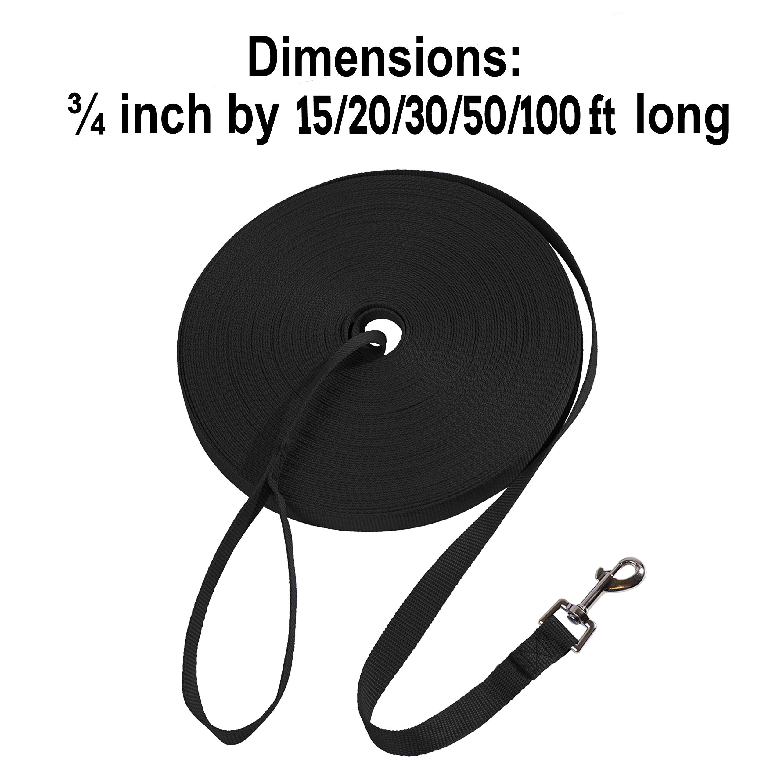 Hi Kiss Dog/Puppy Obedience Recall Training Agility Lead - 15Ft 20Ft 30Ft 50Ft 100Ft Training Leash - Great For Training, Play, Camping, Or Backyard(100Ft,Black_Green)