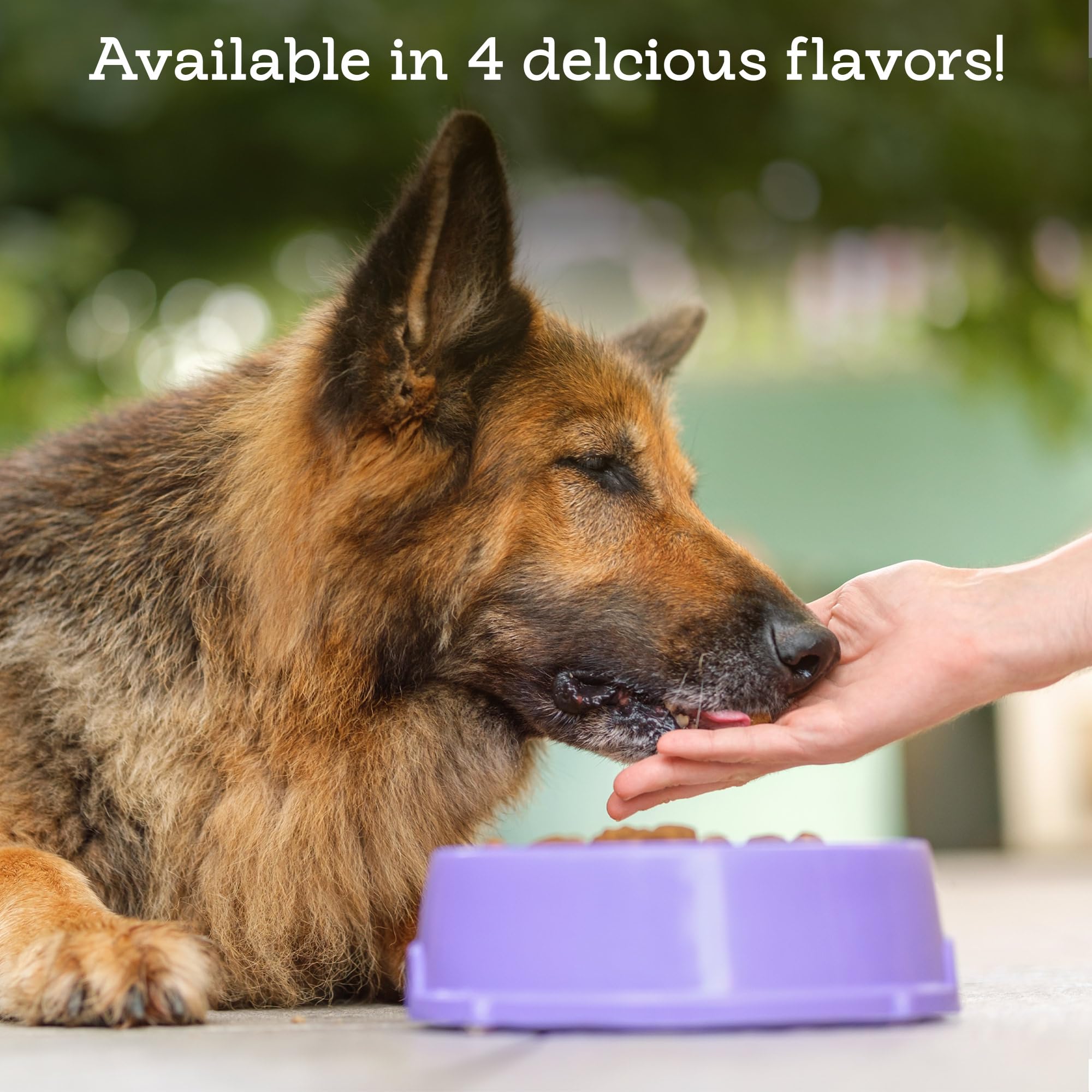 Rileys Pill Wrap for Dogs - Delicious Pumpkin & Peanut Butter Flavored Pill Paste for Dogs - Wrap Pills, Capsules, Tablets in a