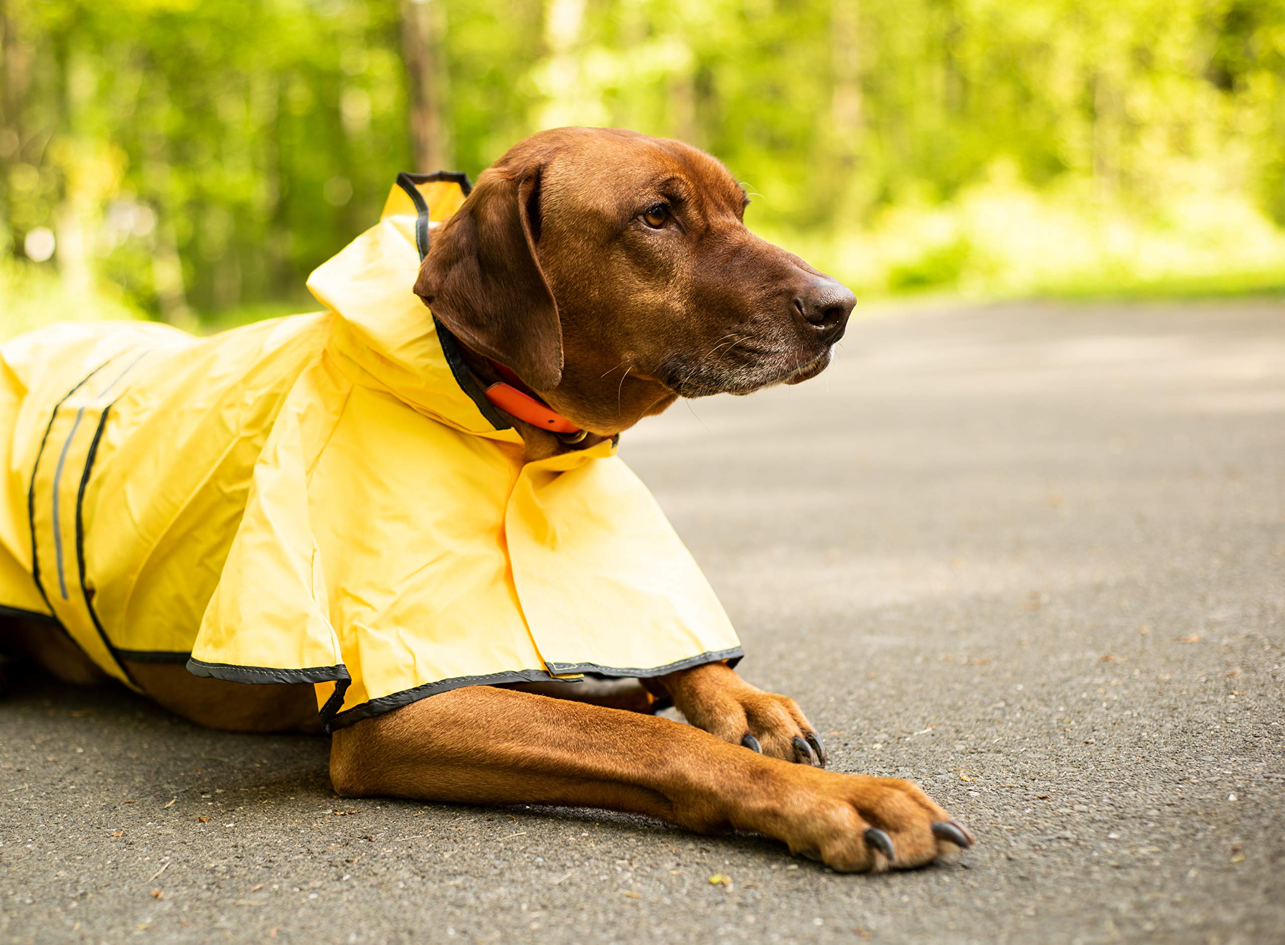 SWT SM YELLOW RAIN SLICKER 560YSM
