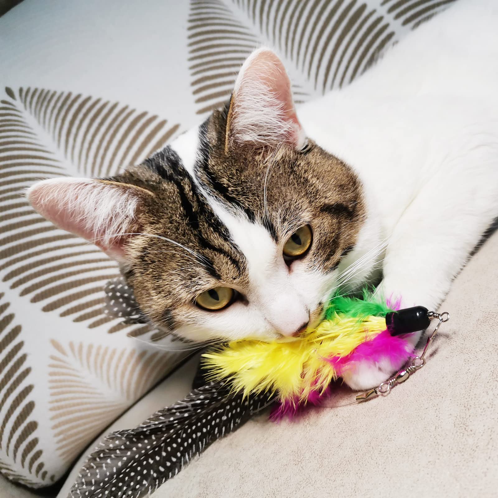 Tienailing Cat Feather Toys Replacement Cat Toy Wand Refills, 8 Pcs Natural Da Bird Feathers Refill, Interactive Cat Wand Replacement Feathers For Cat Toys