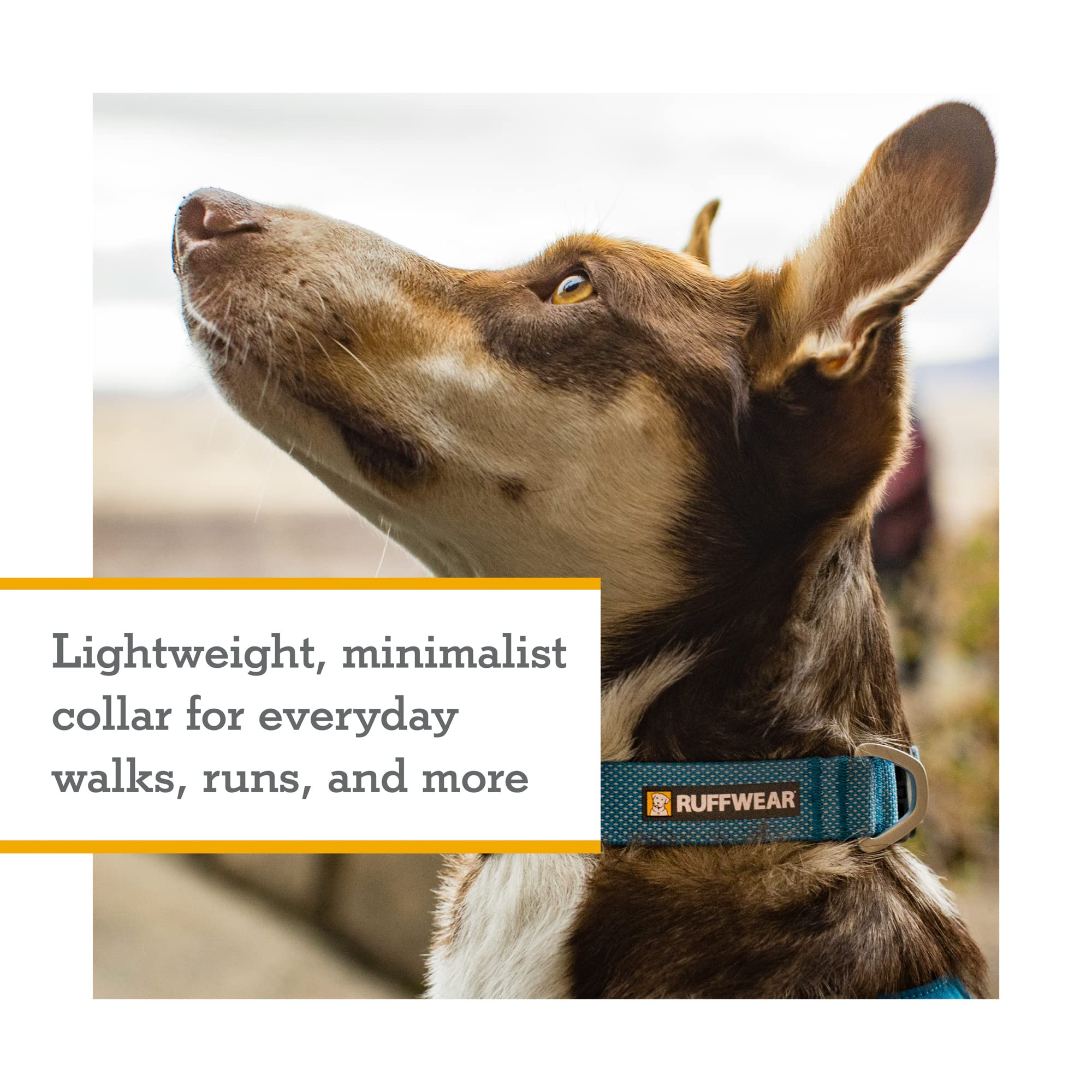 Ruffwear, Hi & Light Dog Collar, Minimal And Ultralight Collar For Everyday Walks And Runs, Sage Green, 14''-20''
