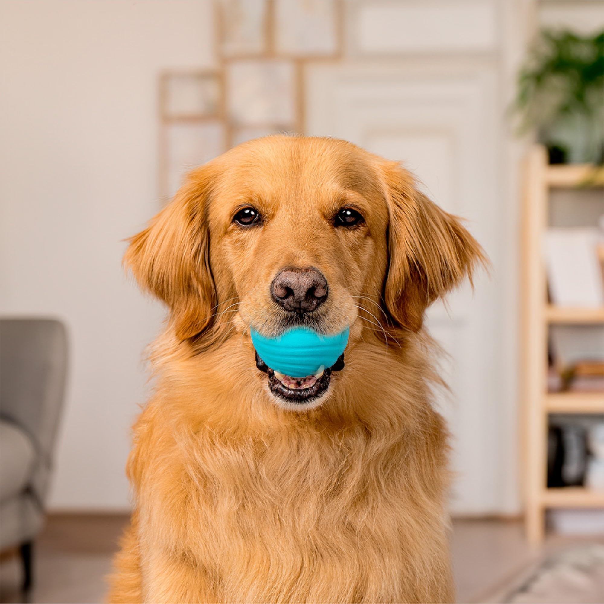 Playology Dual Layer Ball For Dogs | Engaging All Natural Peanut Butter Scented Blue Toy | Jumbo Sized Chew Ball For Large To X-