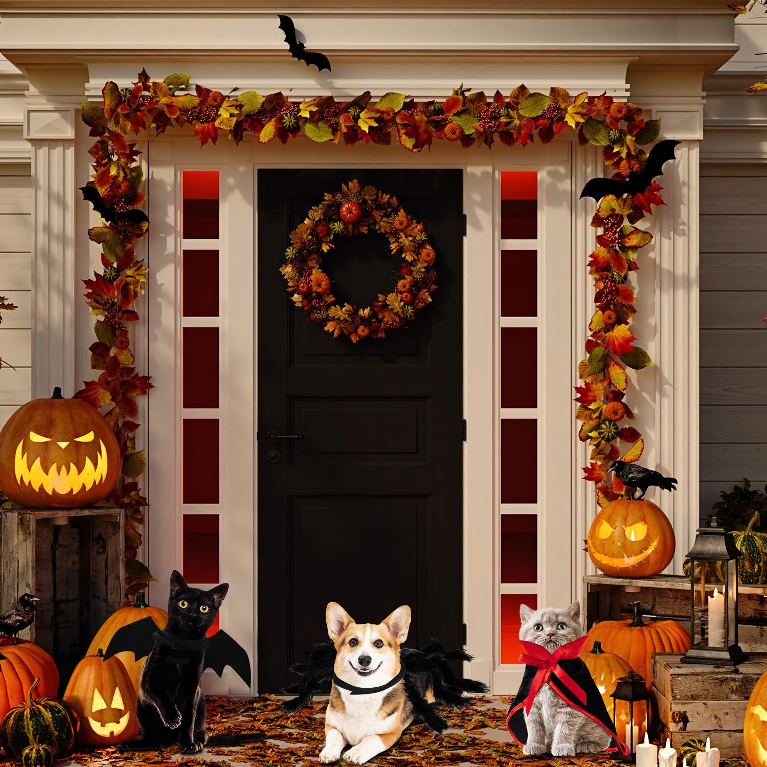 3 Piece Halloween Cat Dog Costume Set, Pet Bat Witch Vampire Cloak Giant Imitation Pet Spider Pets Costume Cosplay Accessories Halloween Pets Decoration For Dogs Puppy Cats (Red, S)