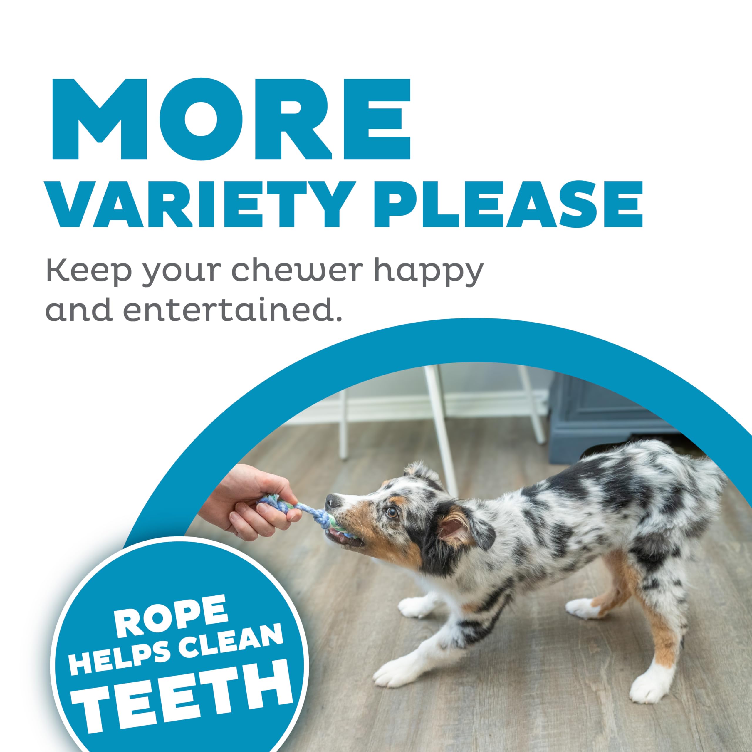 Outward Hound Mini Dentachew Dental Dog Chew Toy - 3 Pack - Great Size For Small Dogs And Puppies