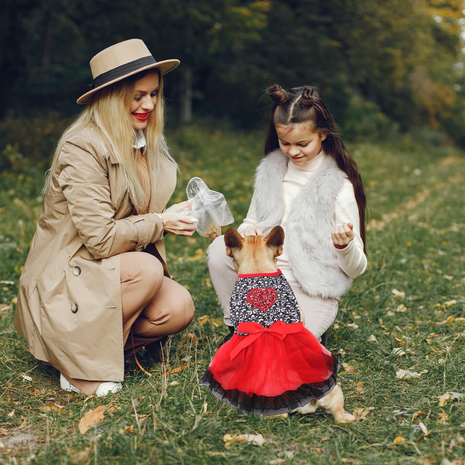 Dog Costume Dress S, Black Floral Top With Red Tulle Skirt And Bow, Glitter Heart Pet Outfit For 6-7 Lbs Dogs And Cats, Holiday
