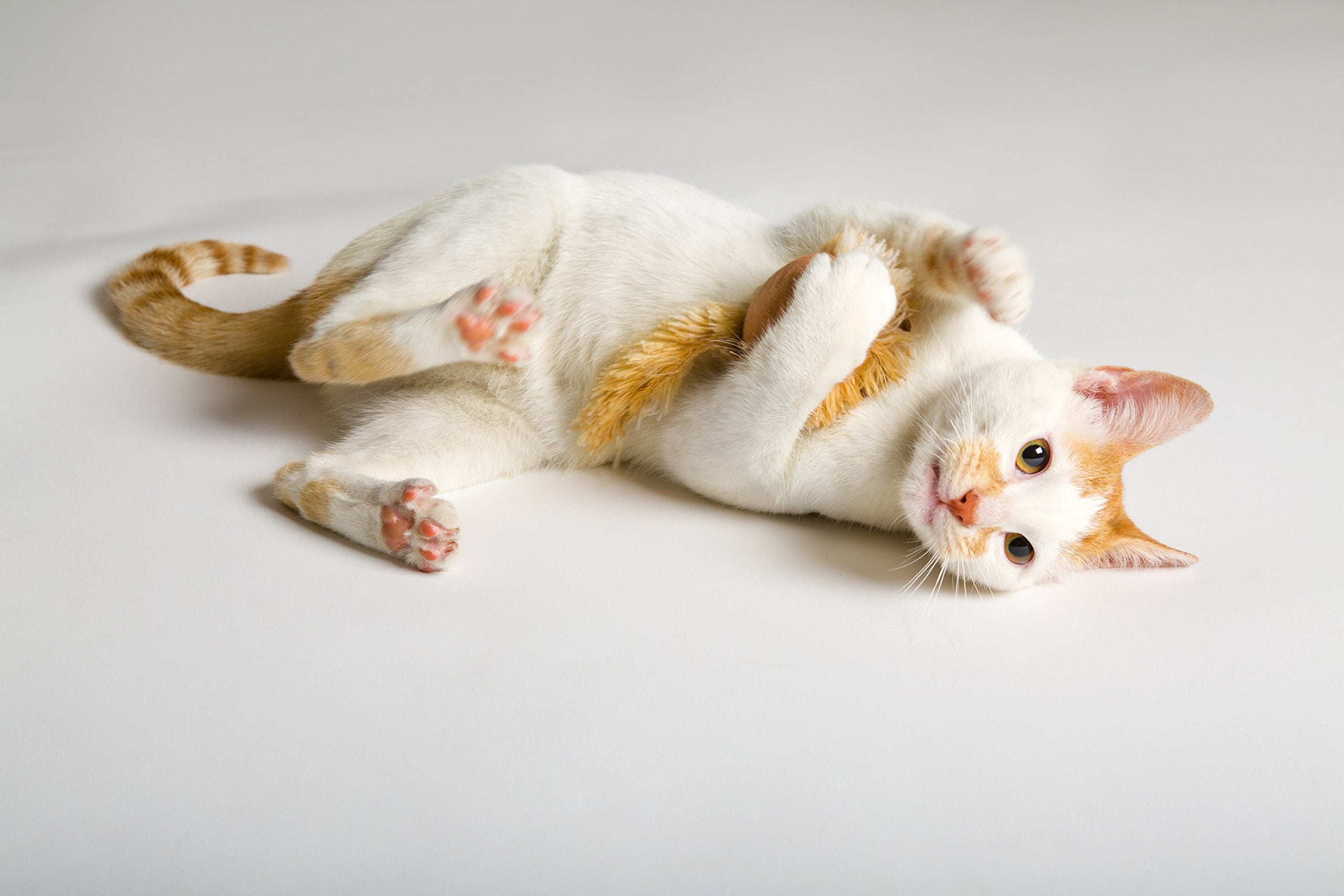 Hartz Just For Cats Running Rodent Vibrating Plush Mouse Cat Toy