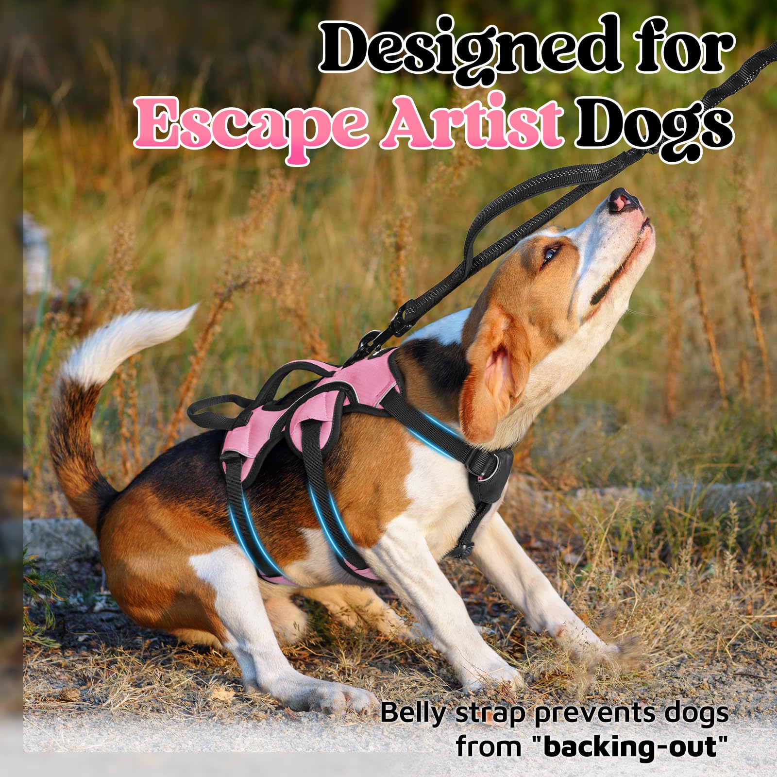 Rabbitgoo Escape Proof Dog Harness Small Sized Dog, Soft Padded Full Body Pet Harness, Reflective Adjustable Vest With Lift Hand