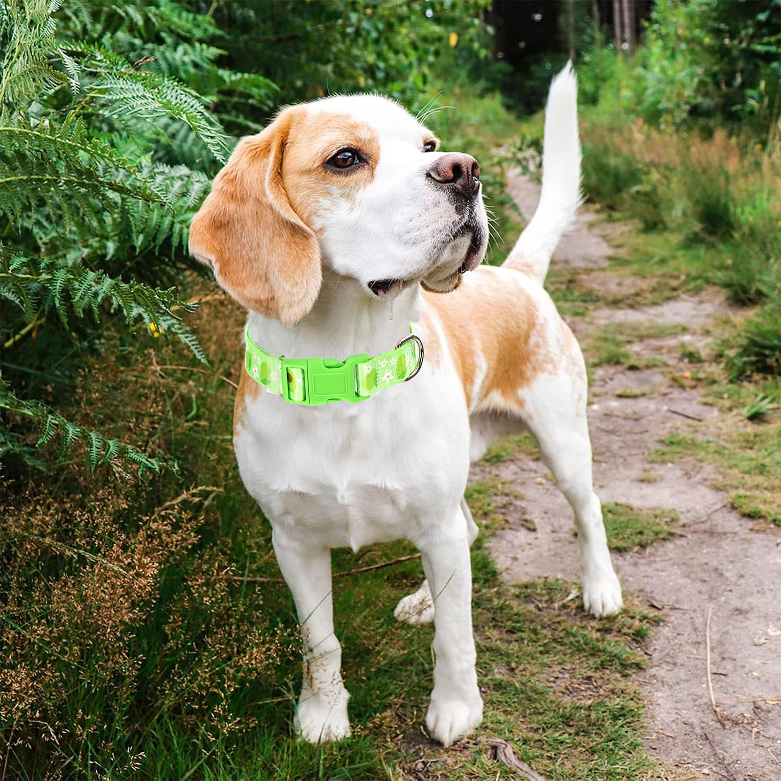 Soft Nylon Adjustable Dog Collar With Cute Avocado Design - Green Durable Collar For Small, Medium, Large & Xl Dogs | No-Slip Co